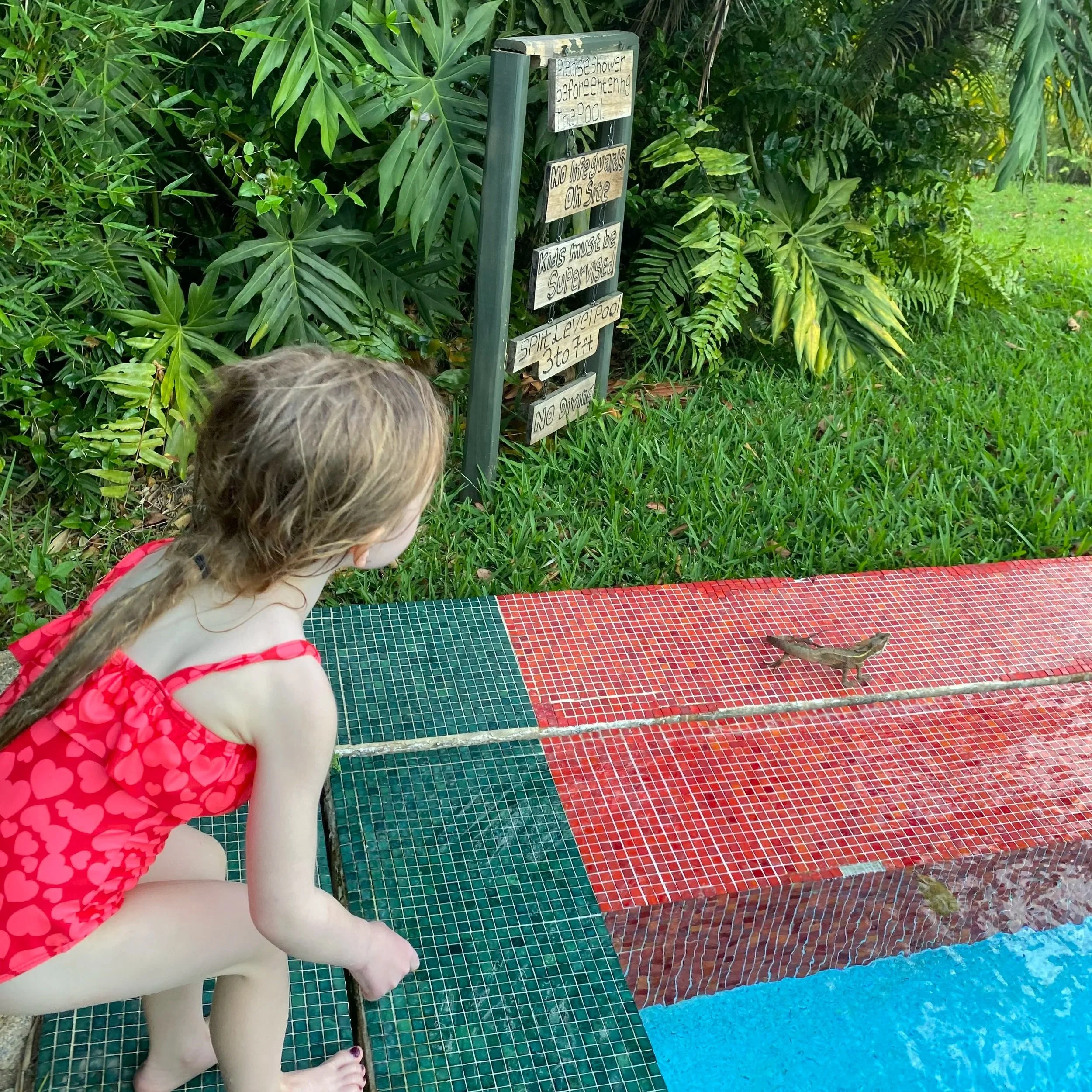 wildlife by the pool at Blancaneaux Lodge in Cayo region of Belize