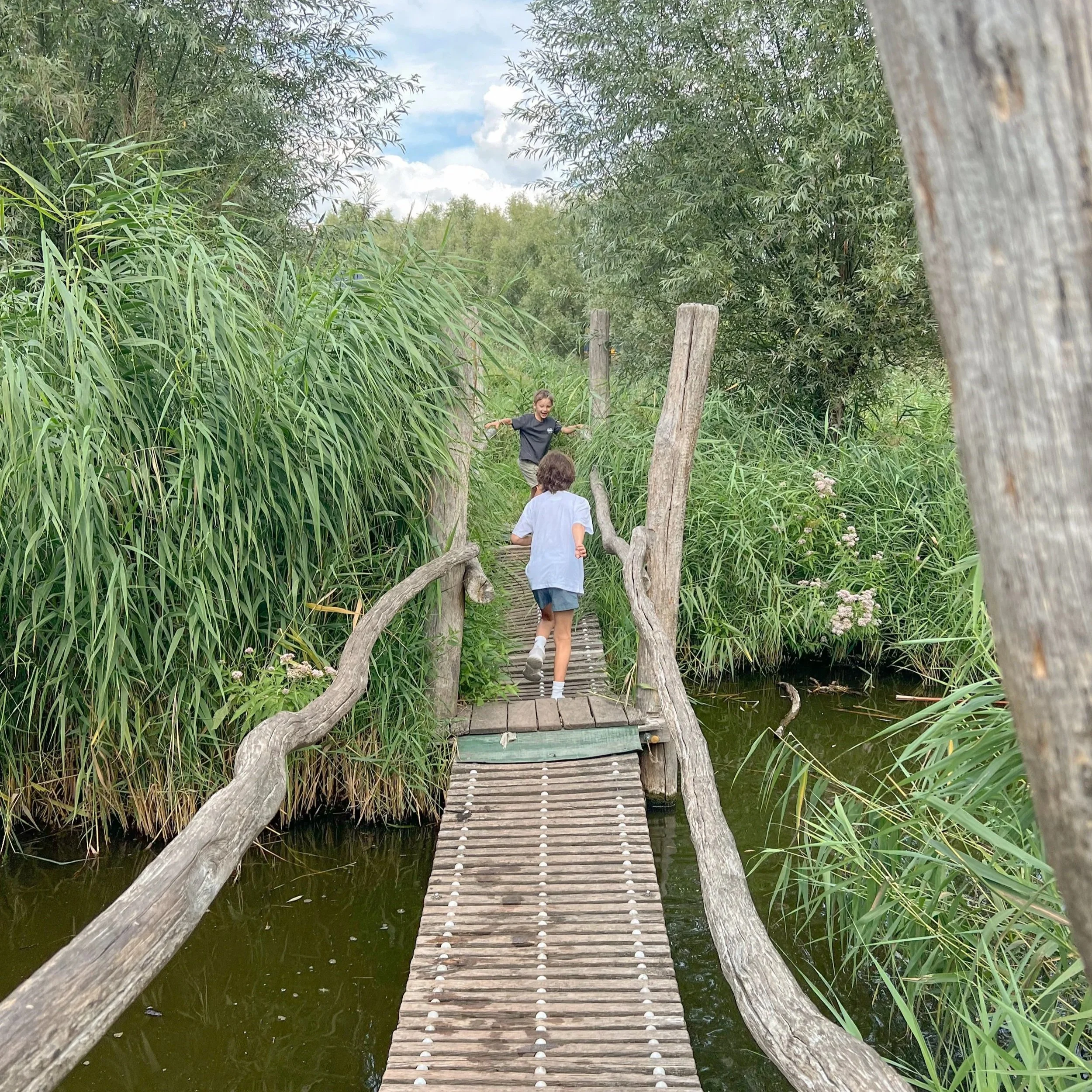 kids playing at westerpark in amsterdam