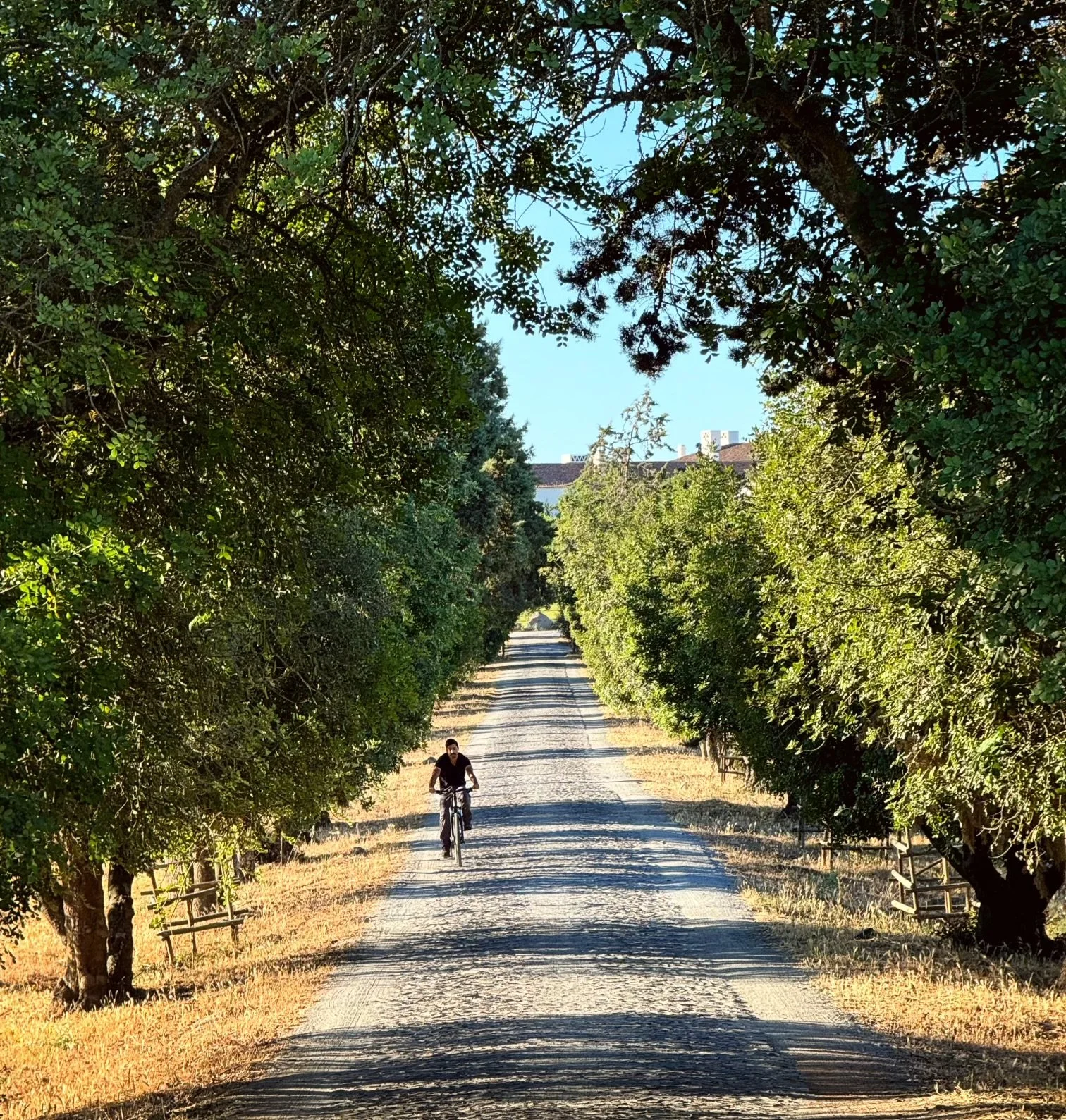 bike riding near sao lourenco do barrocal in portugal