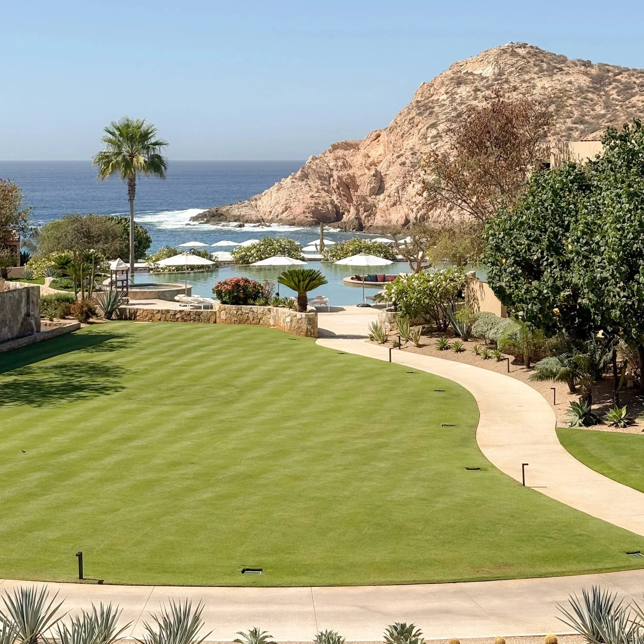 view of grassy area, pool and beach at montage los cabos in Mexico
