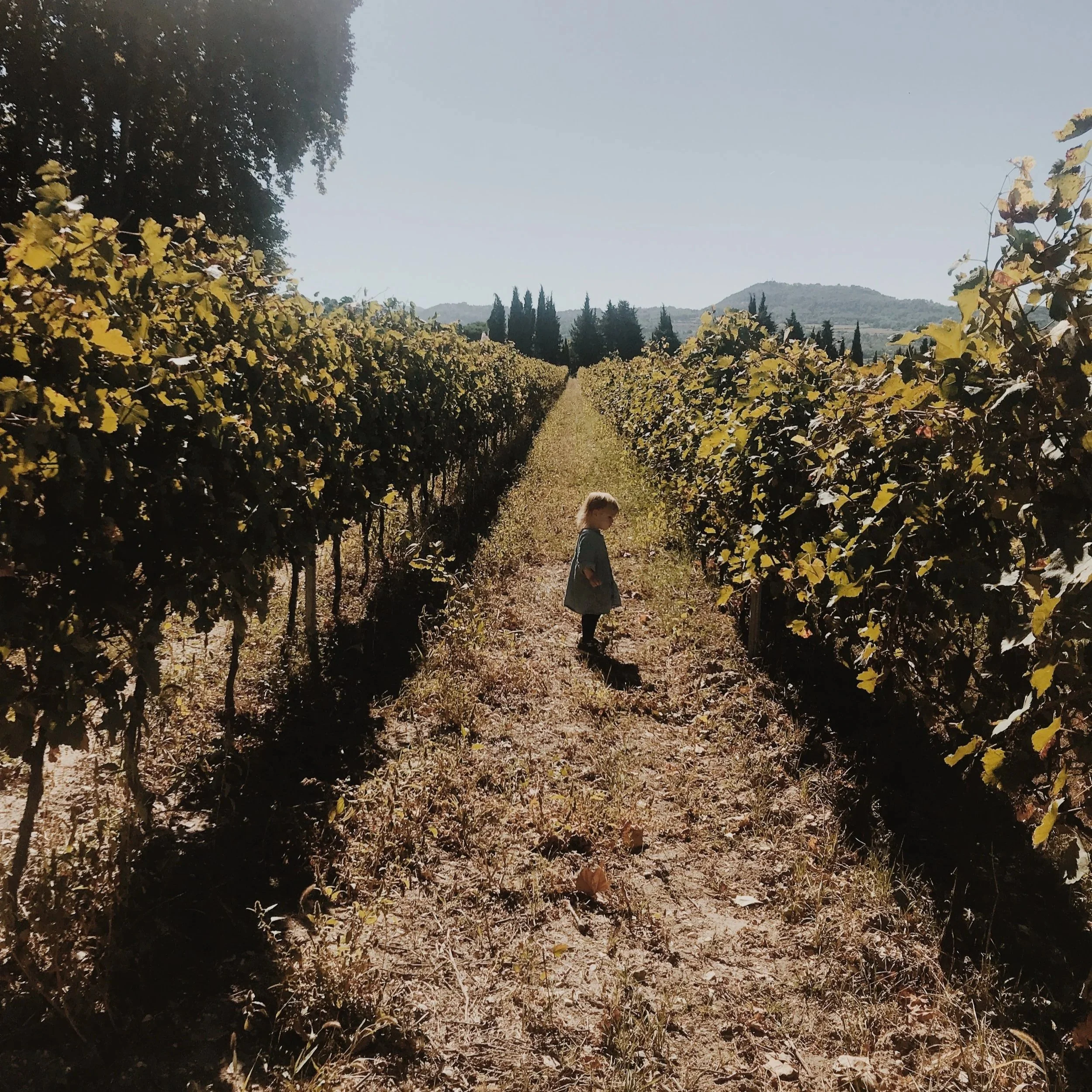 winery visit in provence france with kids