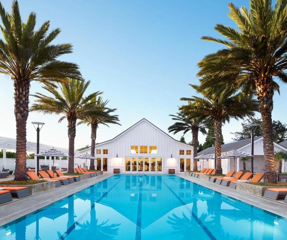 pool at loungers at carneros resort and spa in napa california