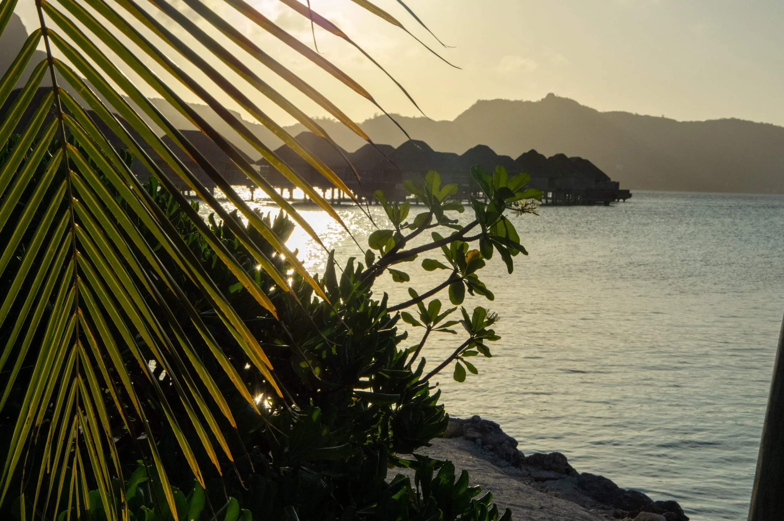 bora bora overwater bungalows at four seasons bora brao