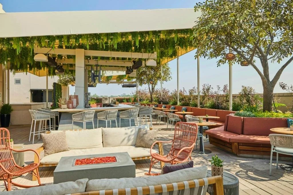 rooftop at halcyon hotel in denver, colorado