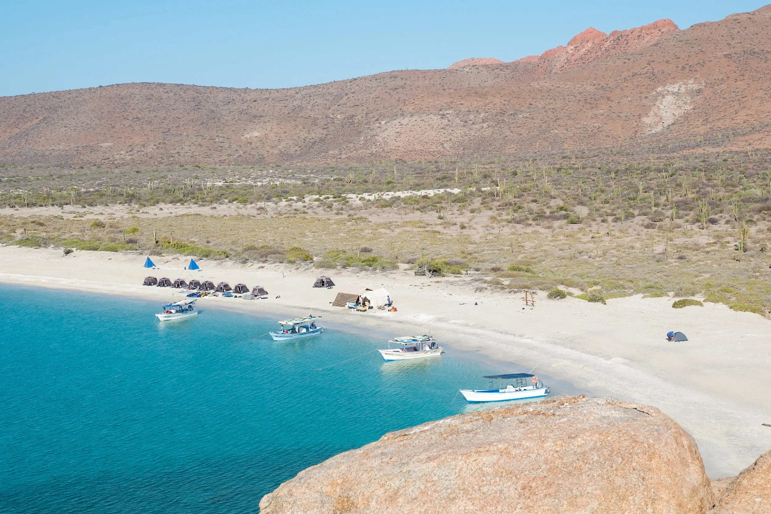 Camping in Isla Espíritu Santo with Todos Santos Eco Adventures: An Honest Review