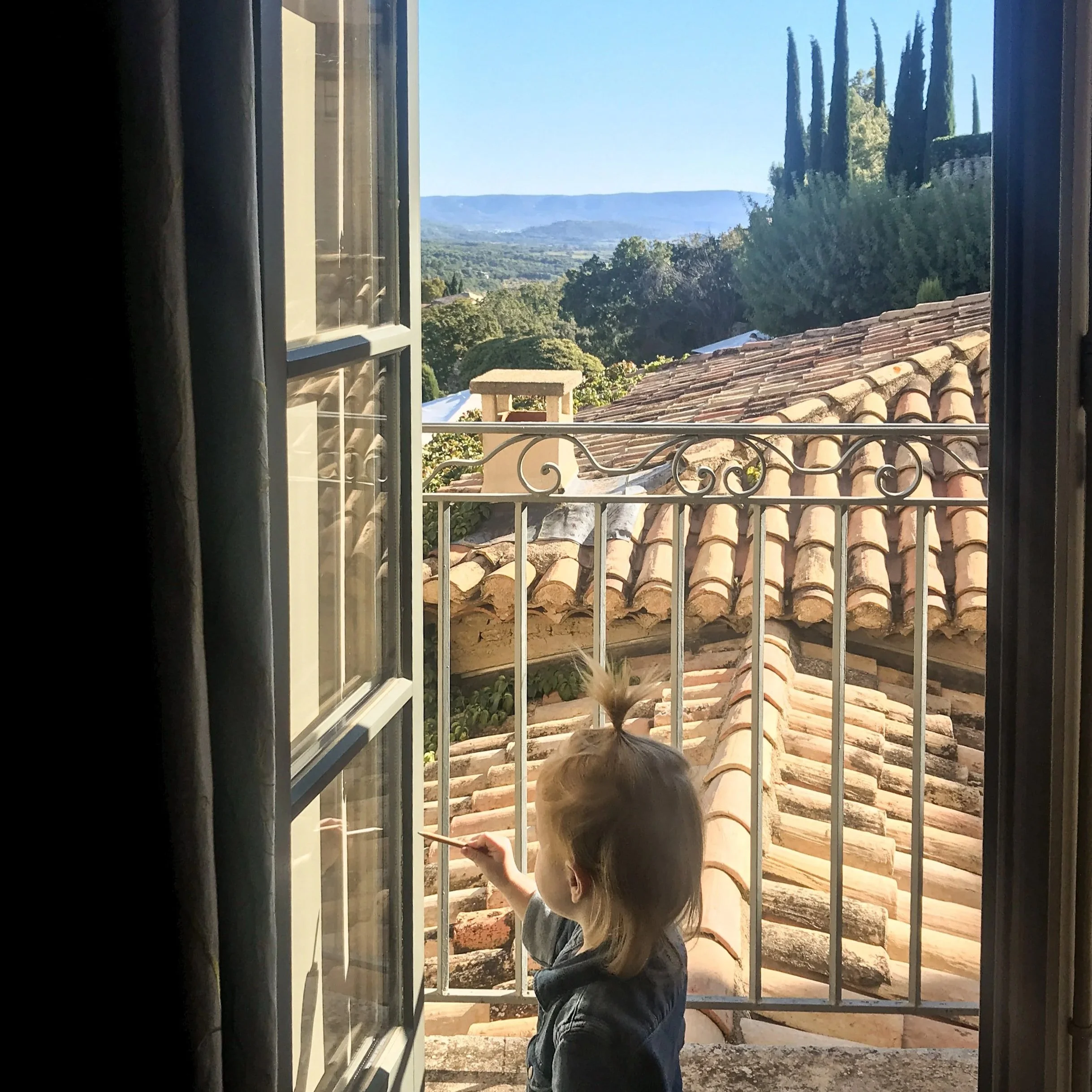 view from the room at Crillon le Brave in Provence France
