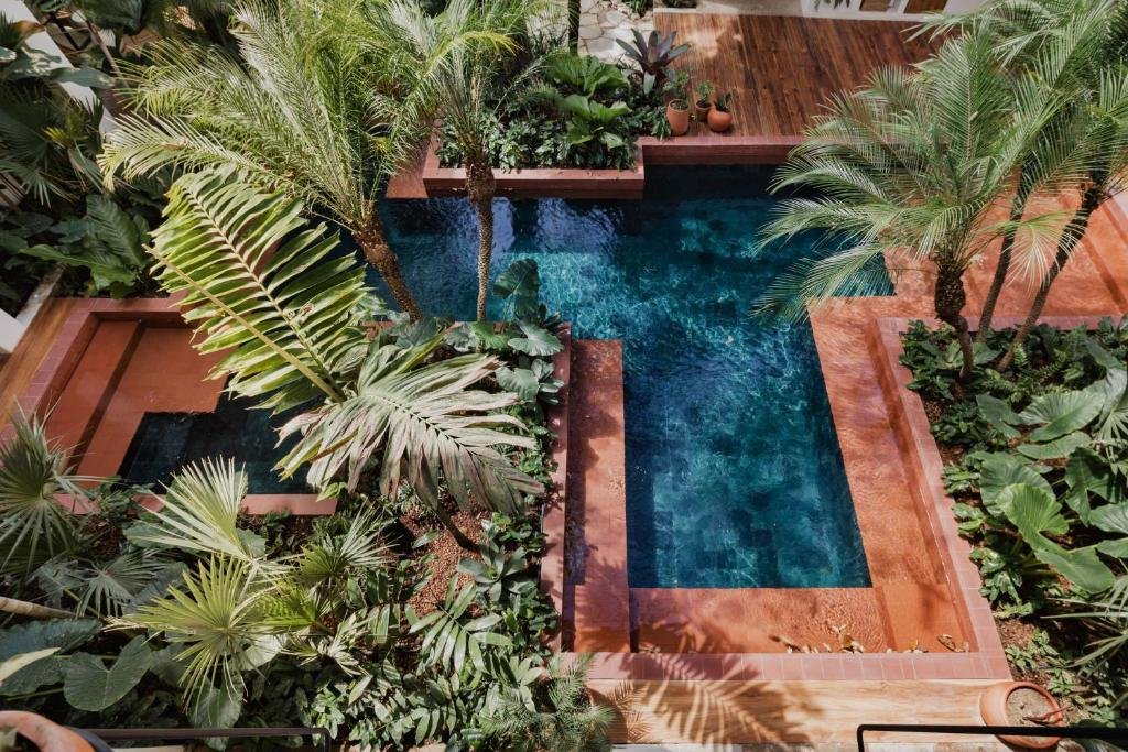 The Best Hotels in Nosara, Costa Rica (2026)