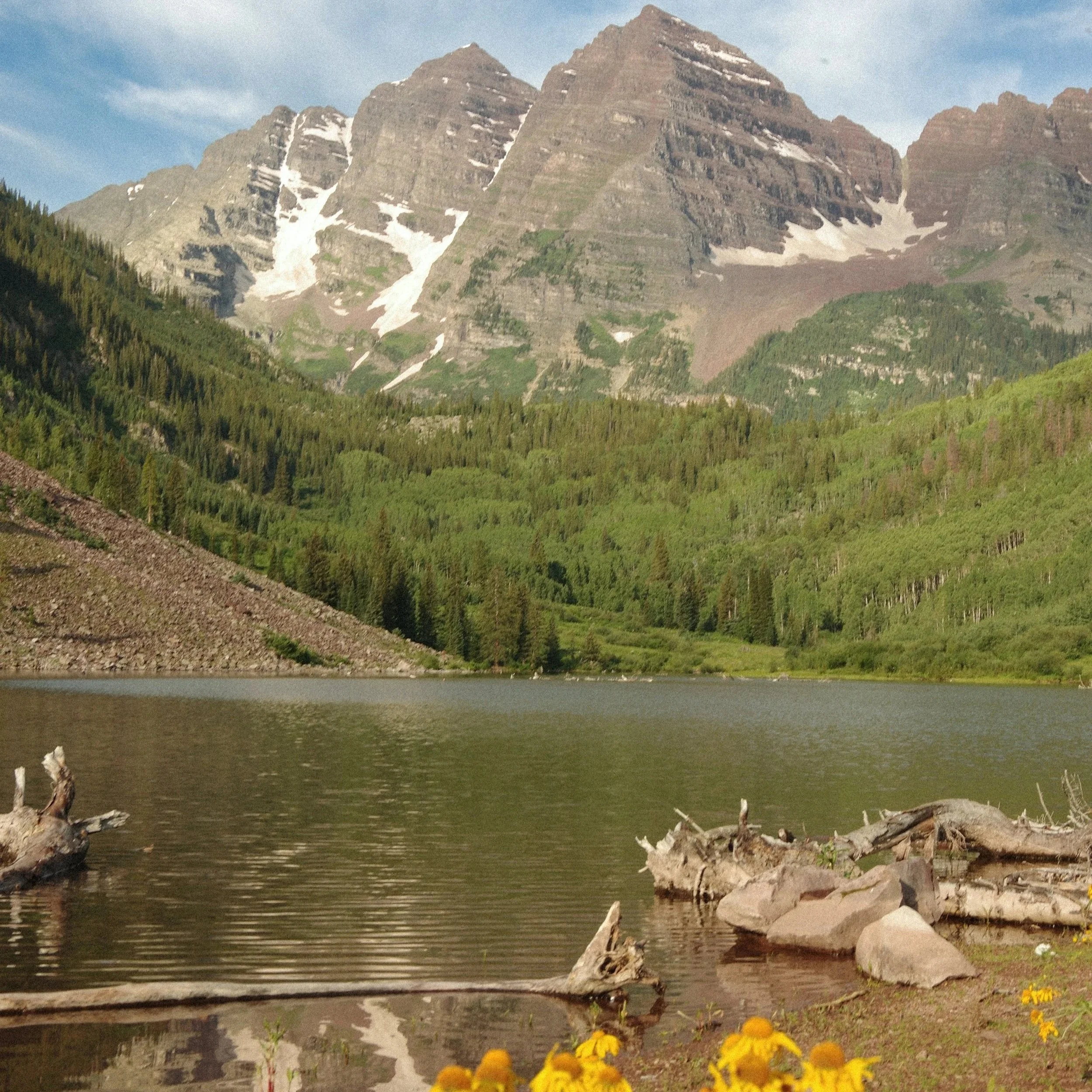 Maroon bells with wildflowers in Aspen Colorado in Summer