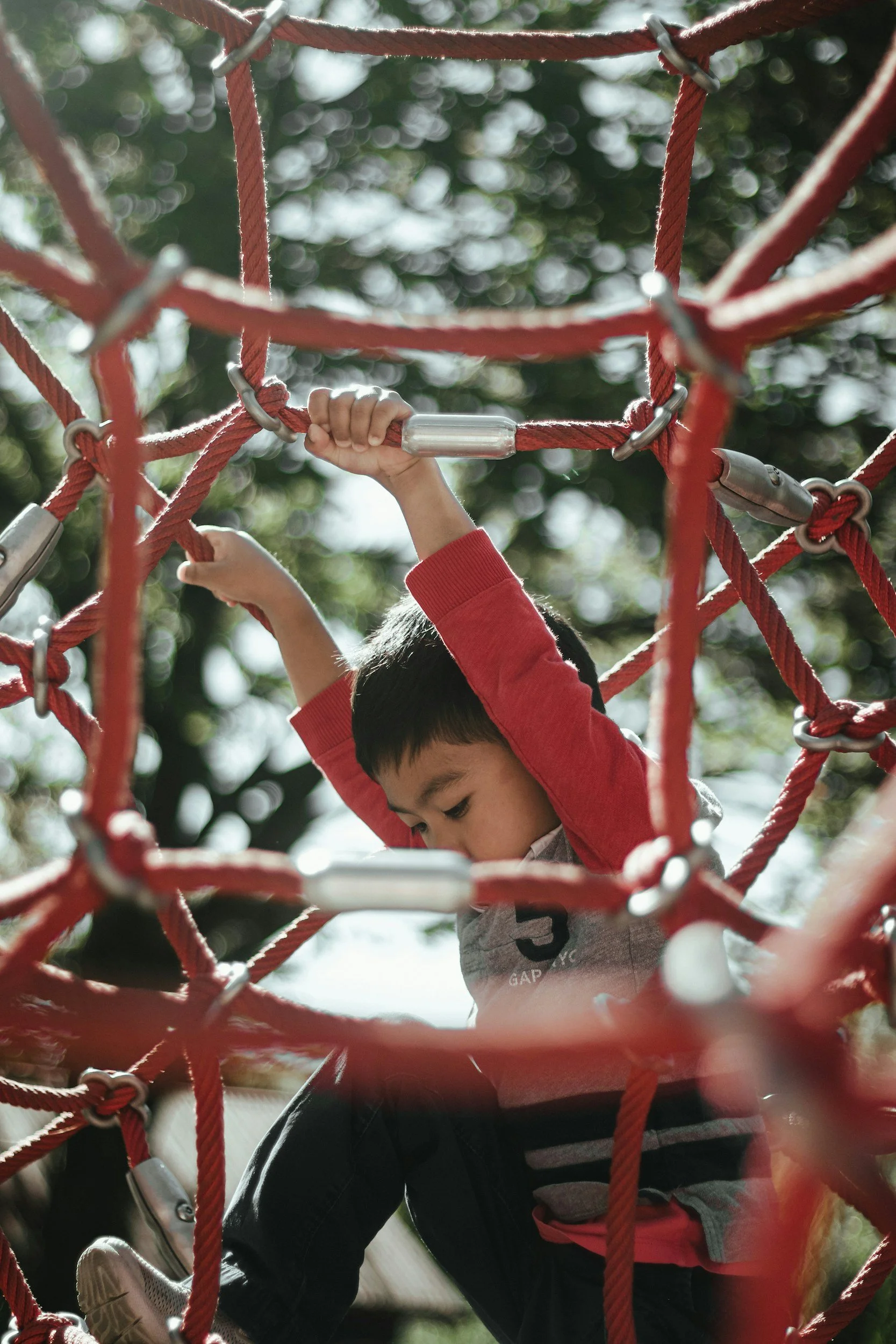 Why Are Transitions So Hard for My Child?