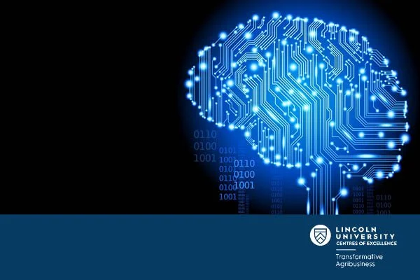 The Allure of Play: Using Game-Inspired Design to Spark Engagement and Deep Learning