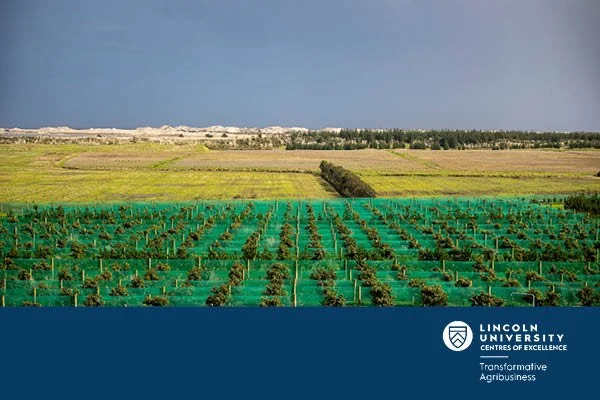 The Future of Land Use and How to Fund It