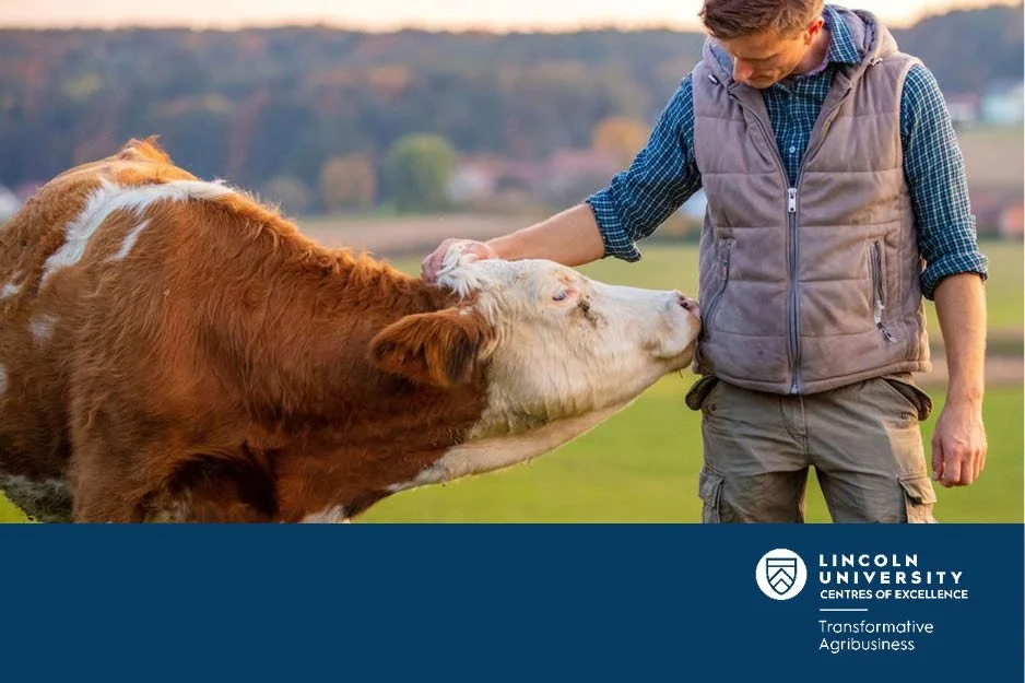 Quantifying the multiple burdens of animal diseases