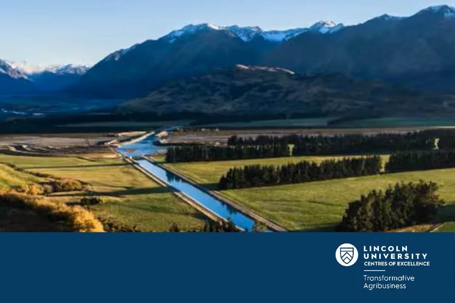 From Innovation to Impact: Shaping Selwyn’s Food &amp; Fibre Future