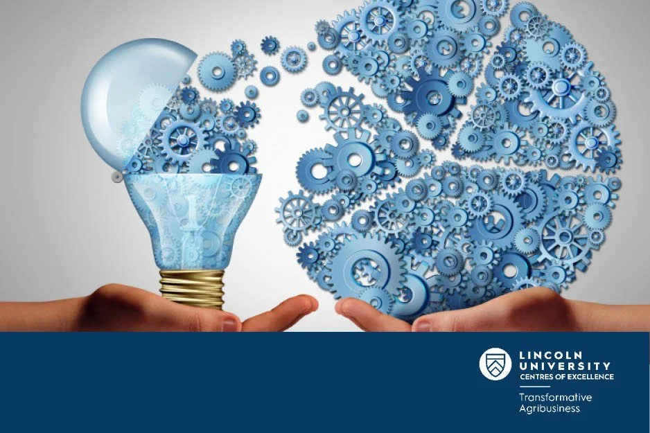 Research interests and Funding opportunities with Hue University of Economics (HUE), Vietnam