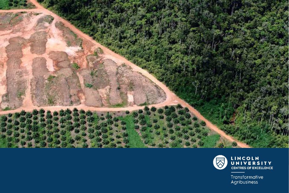 Forest Foods in China: Building Trust Through Standards and Sustainable Production