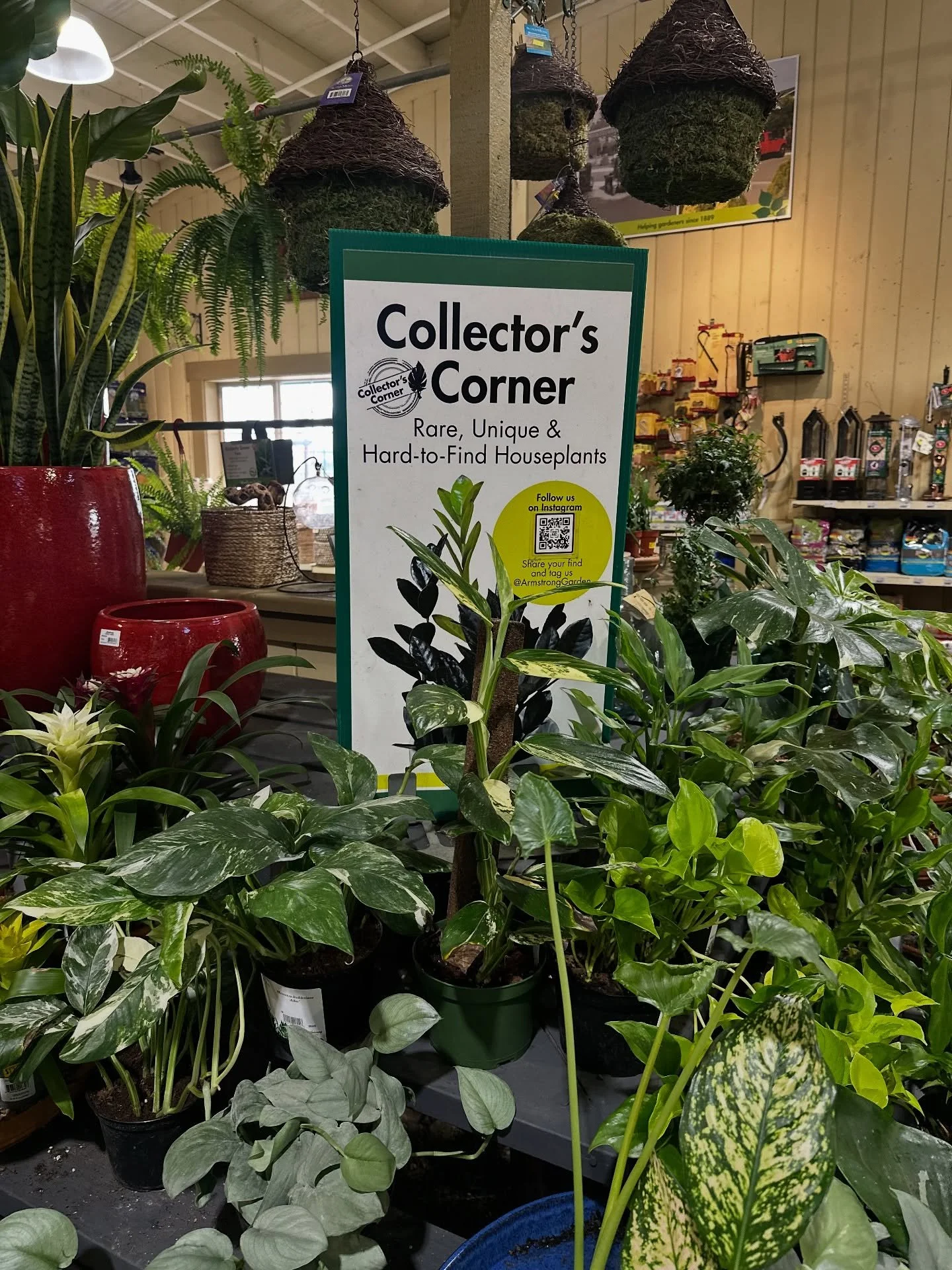 When working involves going to the plant store you know it&rsquo;s going to be a good day.

I&rsquo;ve had to rearrange some of the plants and felt like I needed some new ones. Picking the right plant for the environment is key to it thriving. 

I re