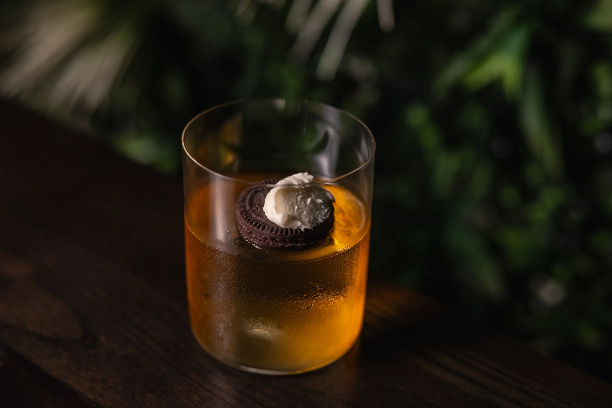 GUAYARA-@dillonburke-8.jpg