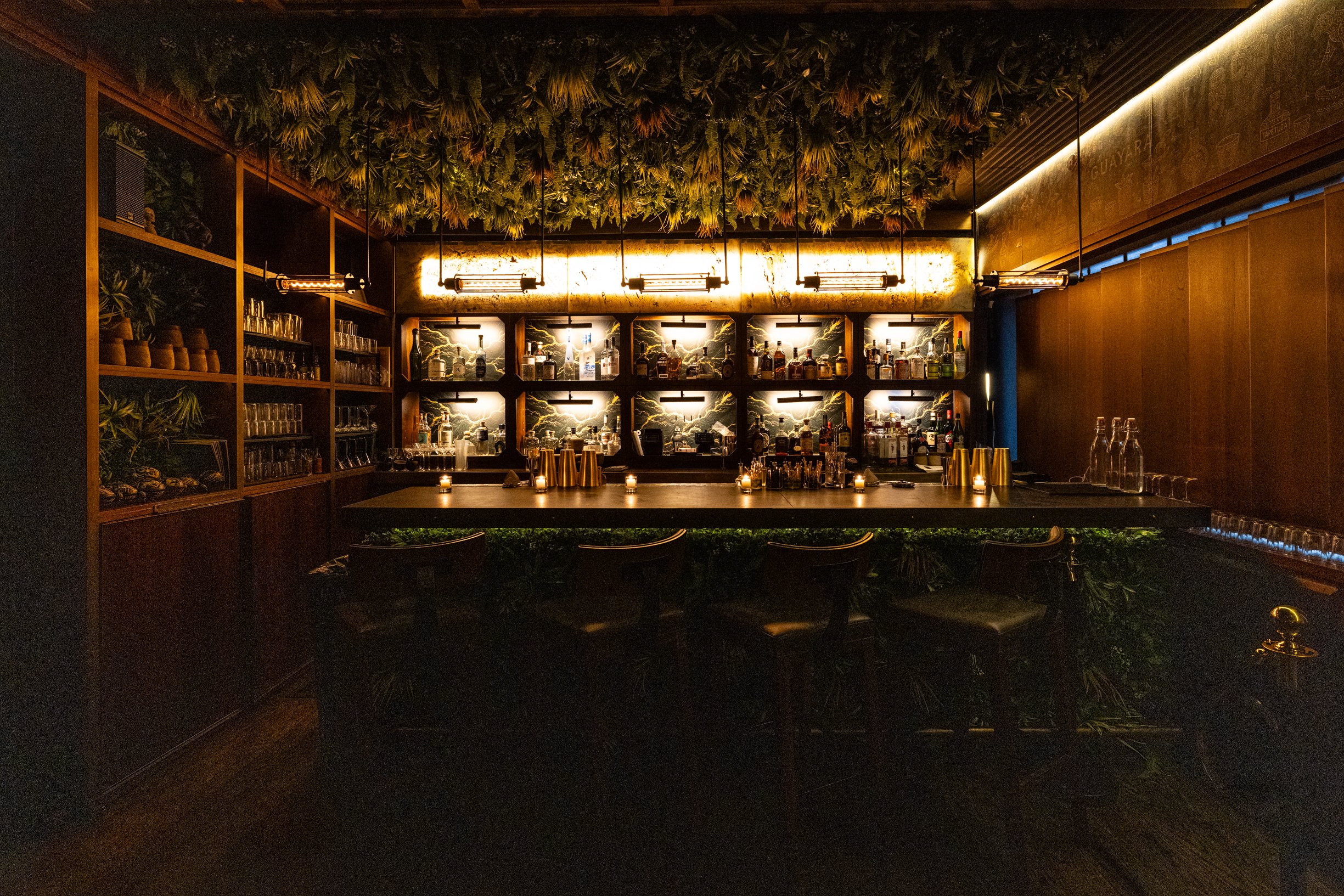 GUAYARA-@dillonburke-21.jpg