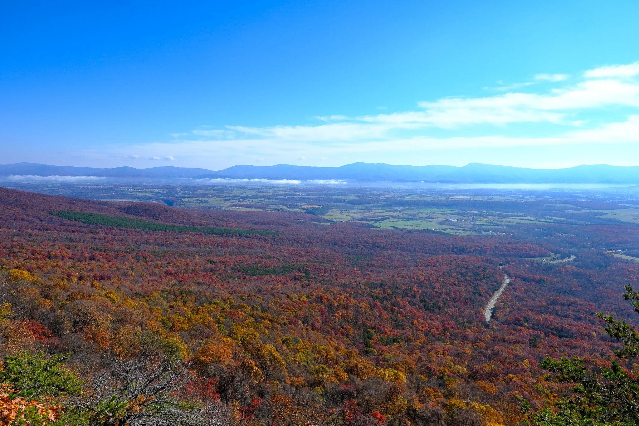 A beautiful fall day on the Storybrook Trail.