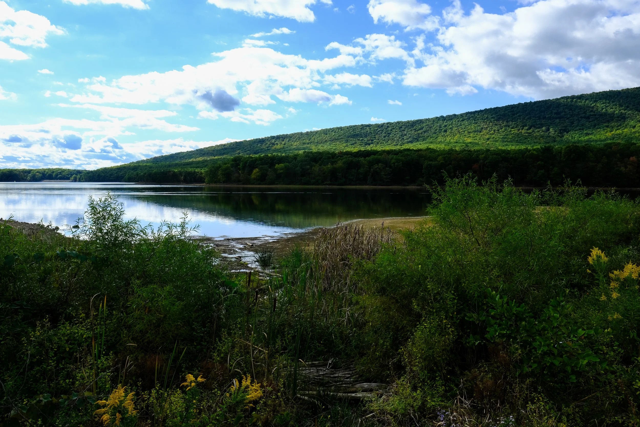 DSCF0217.jpg