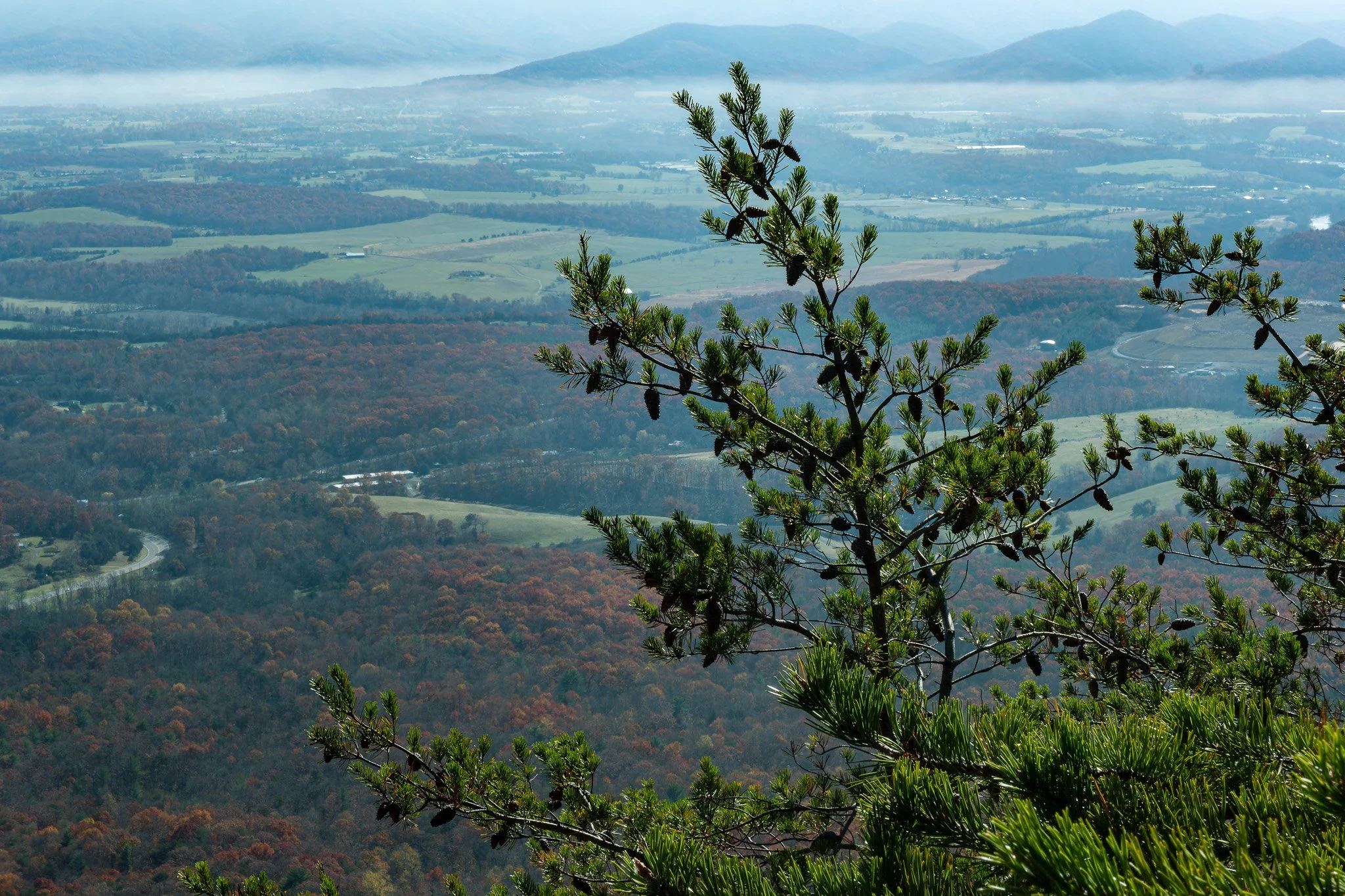 So many beautiful things to notice in this picture from the Storybrook Trail.