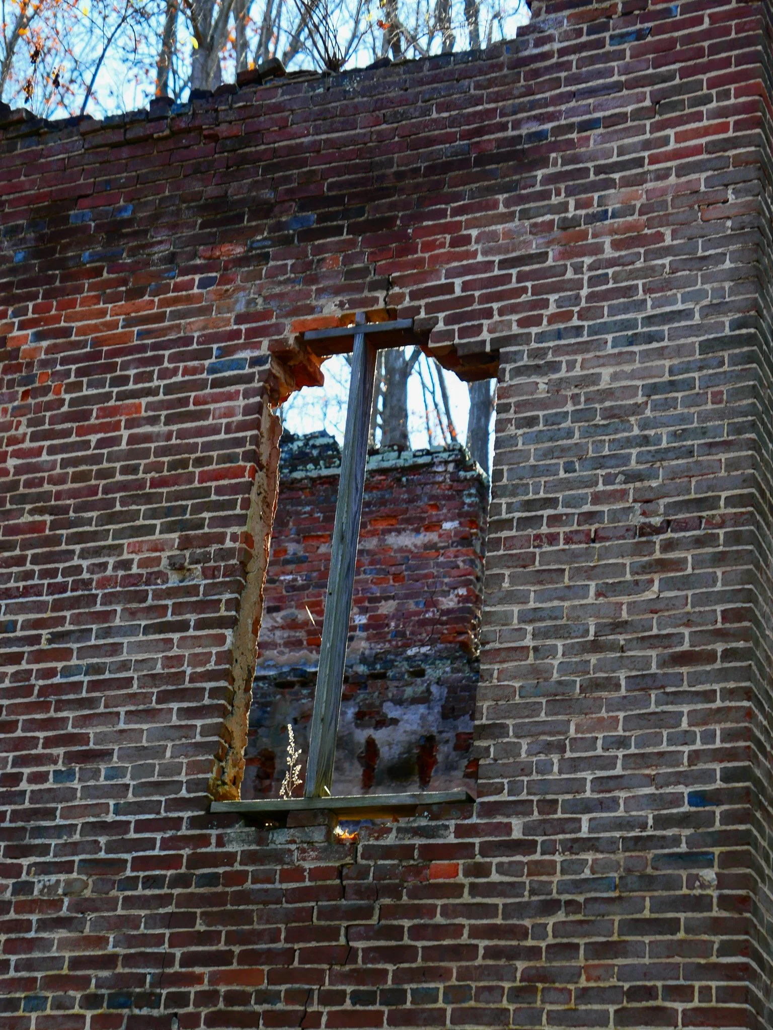 L1041198.jpg