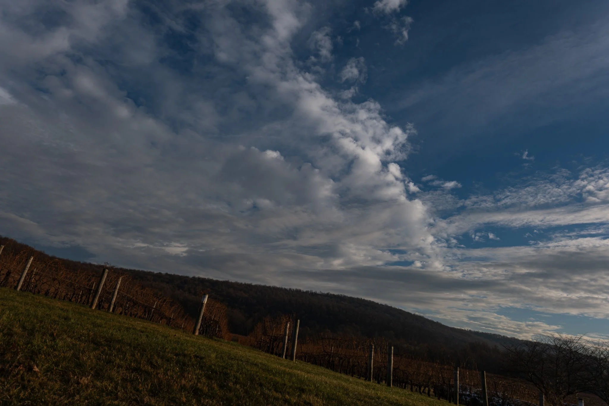 DSCF0863-RAF_DxO_DeepPRIMEXD.jpg