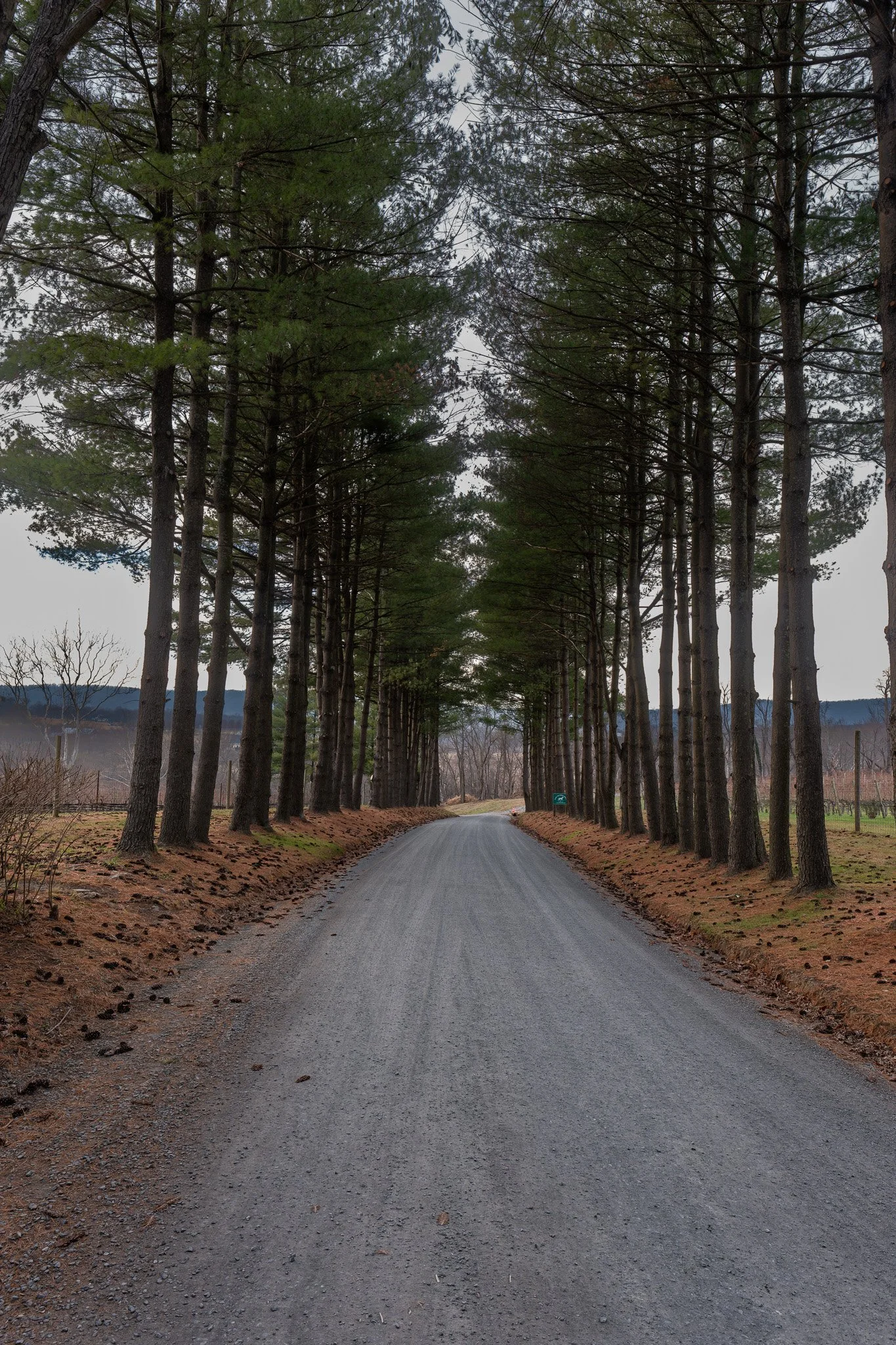 DSCF0837-RAF_DxO_DeepPRIMEXD.jpg