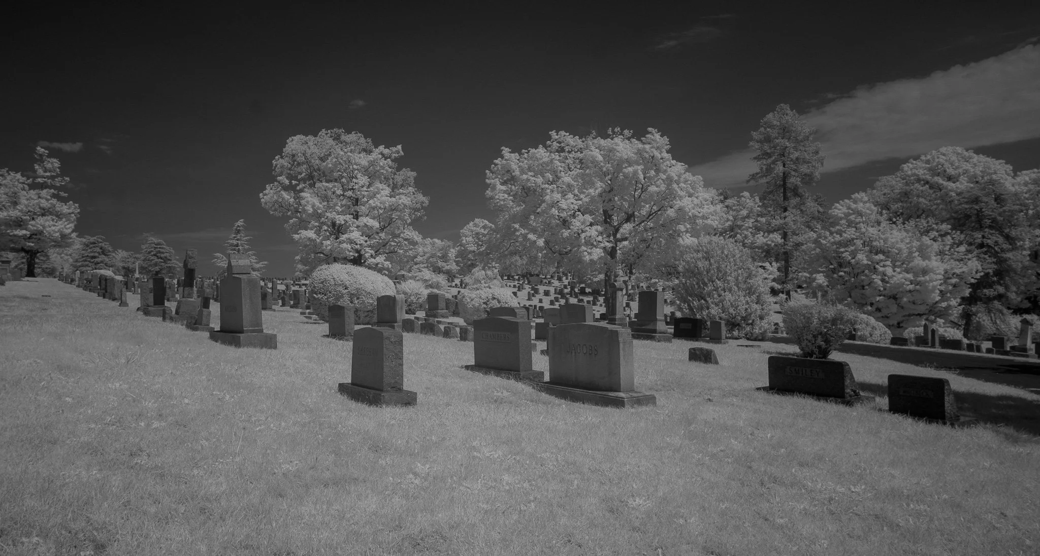 DSCF0120.jpg