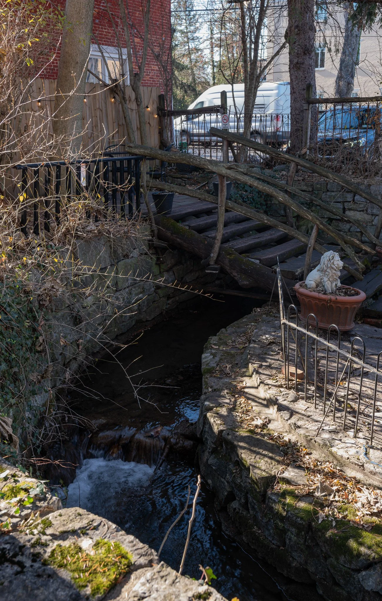 DSCF1480-RAF_DxO_DeepPRIMEXD.jpg