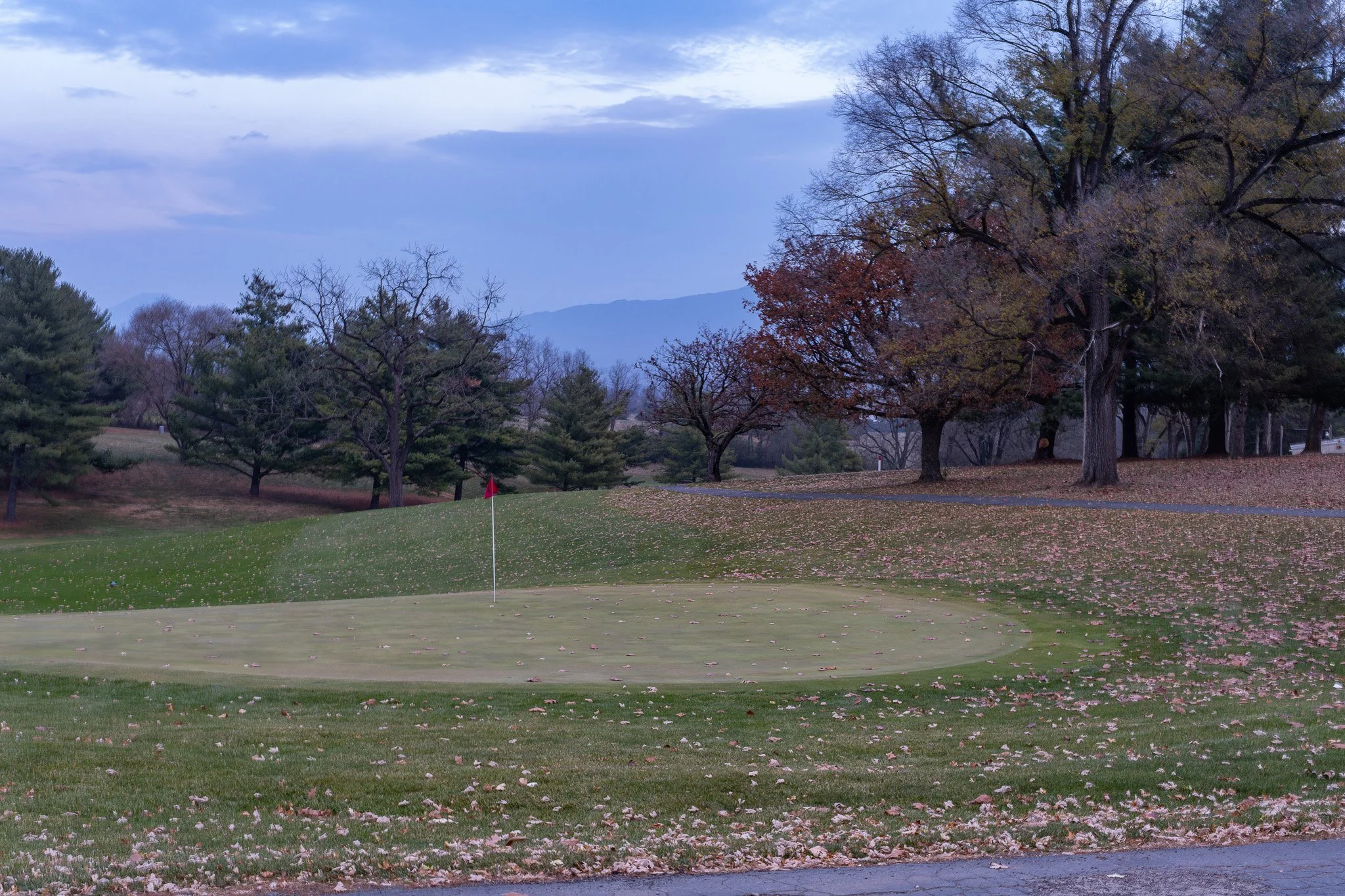 DSCF1181-RAF_DxO_DeepPRIMEXD.jpg