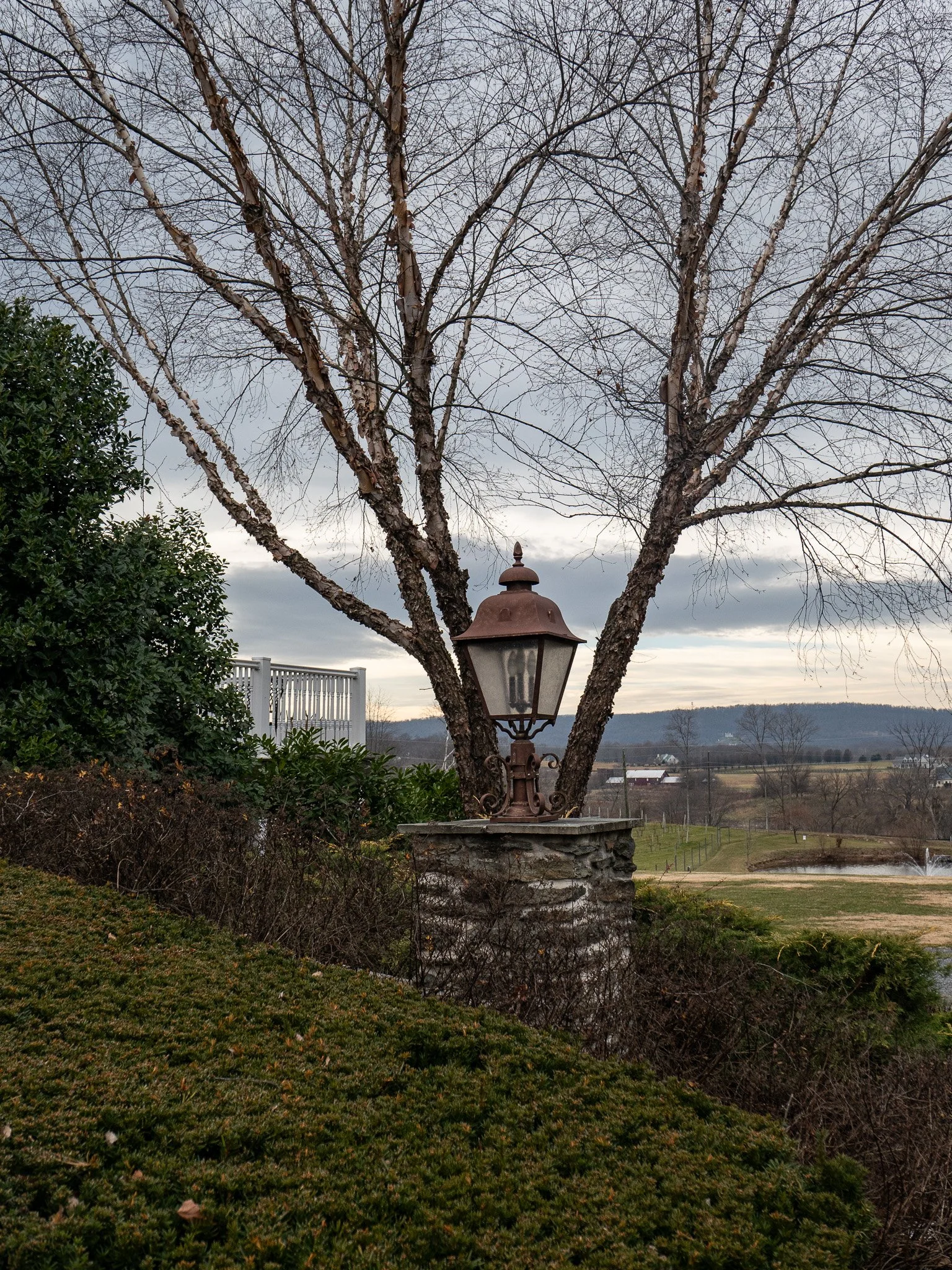 L1041259.jpg