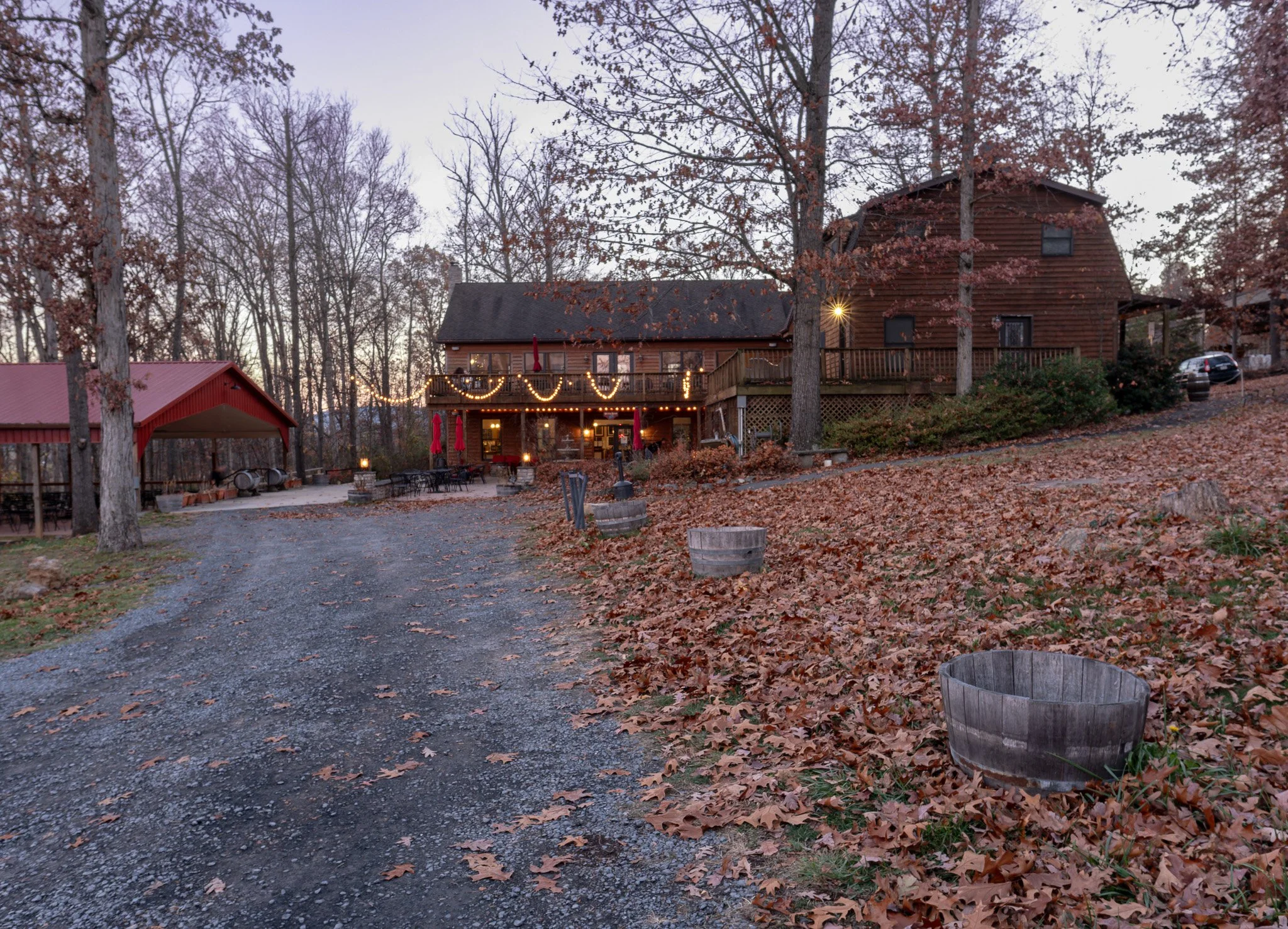 DSCF1246-RAF_DxO_DeepPRIMEXD.jpg