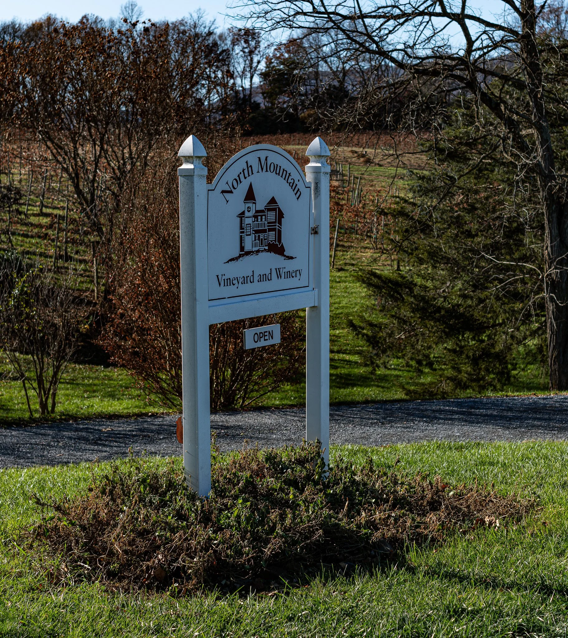 DSCF1212-RAF_DxO_DeepPRIMEXD.jpg
