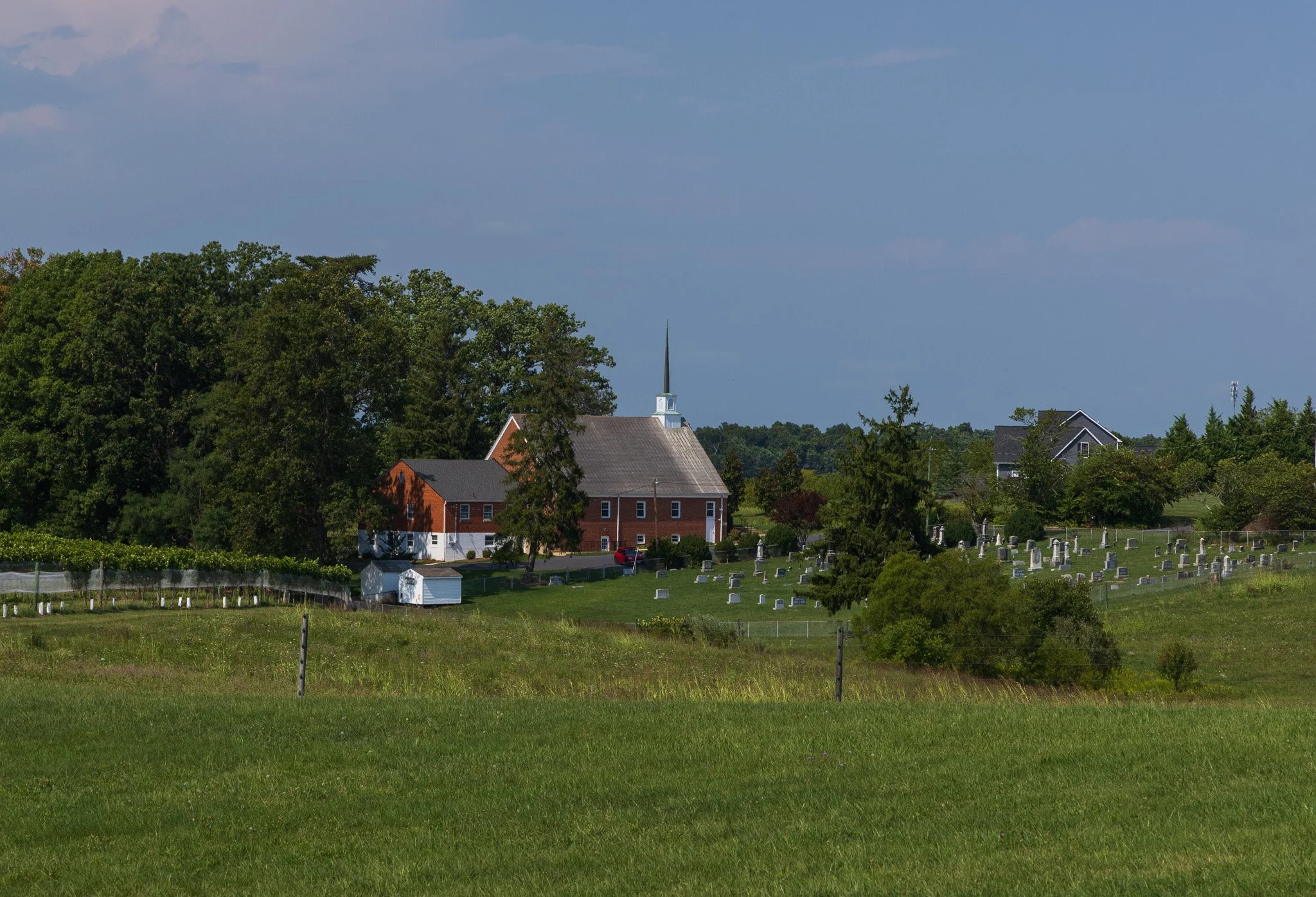 IMG_0958.jpg
