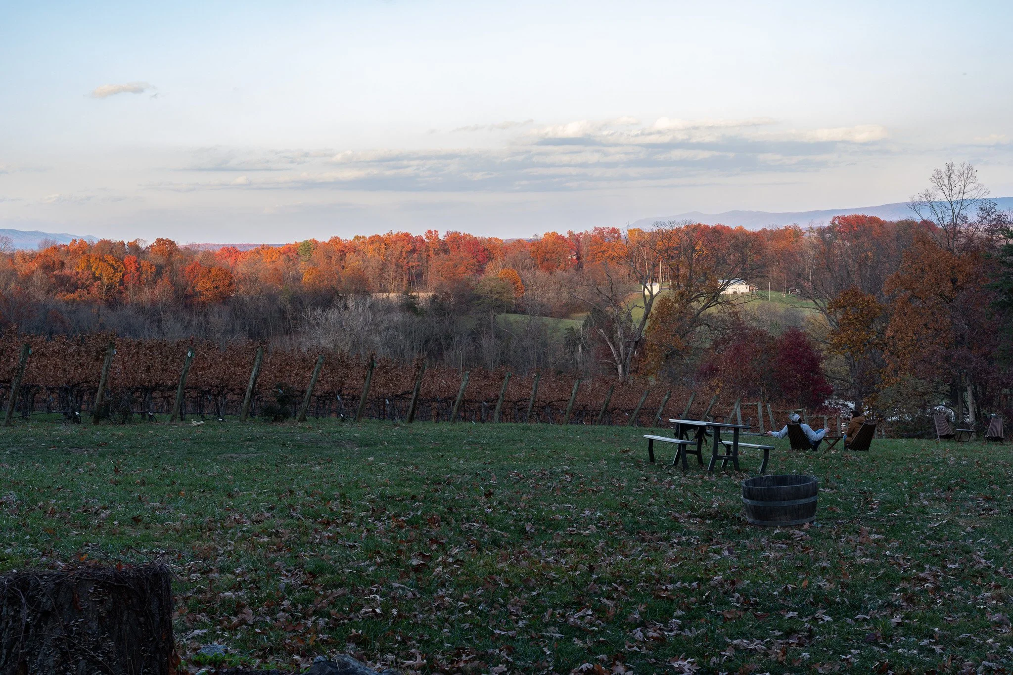 Another great late afternoon at Cave Ridge Winery!