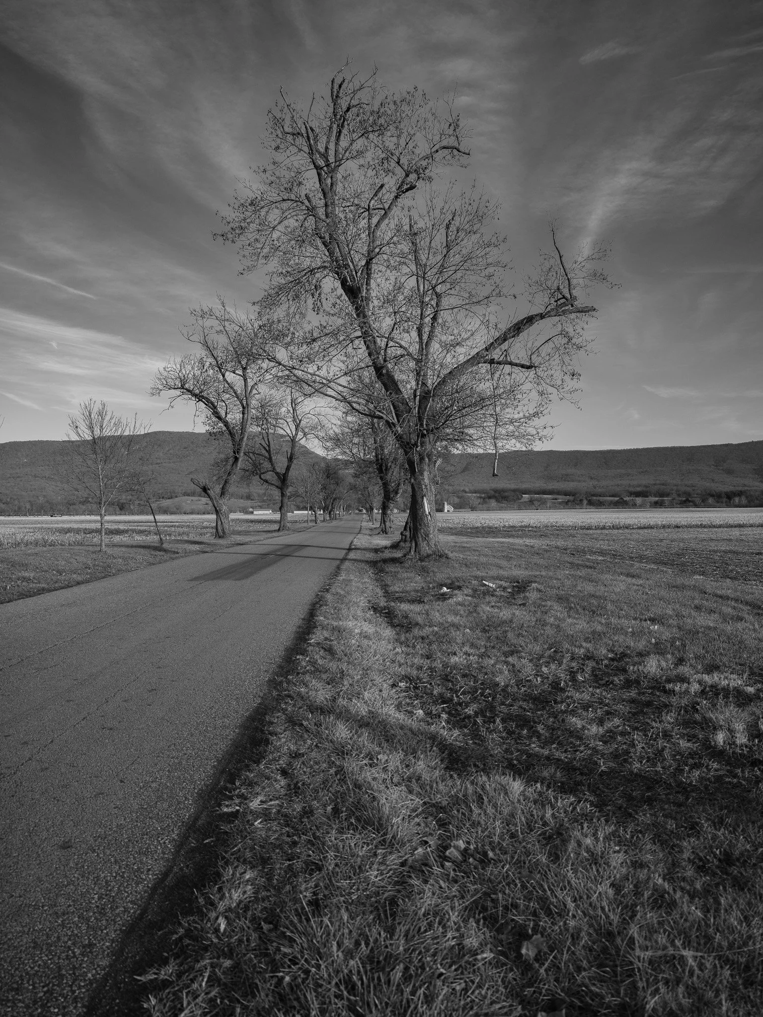 _DSF0107.jpg