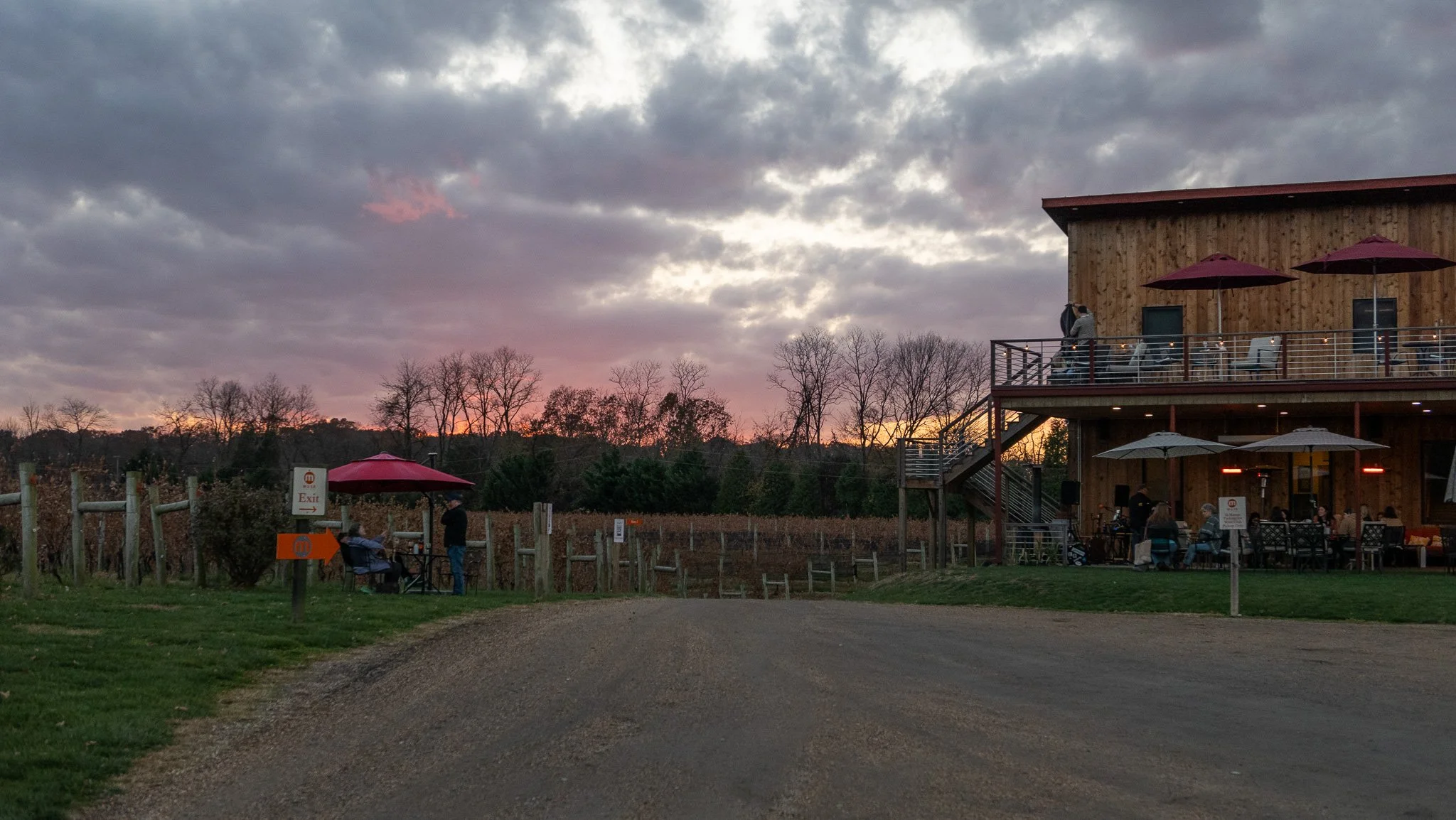 Muse Vineyard, Woodstock, VA.