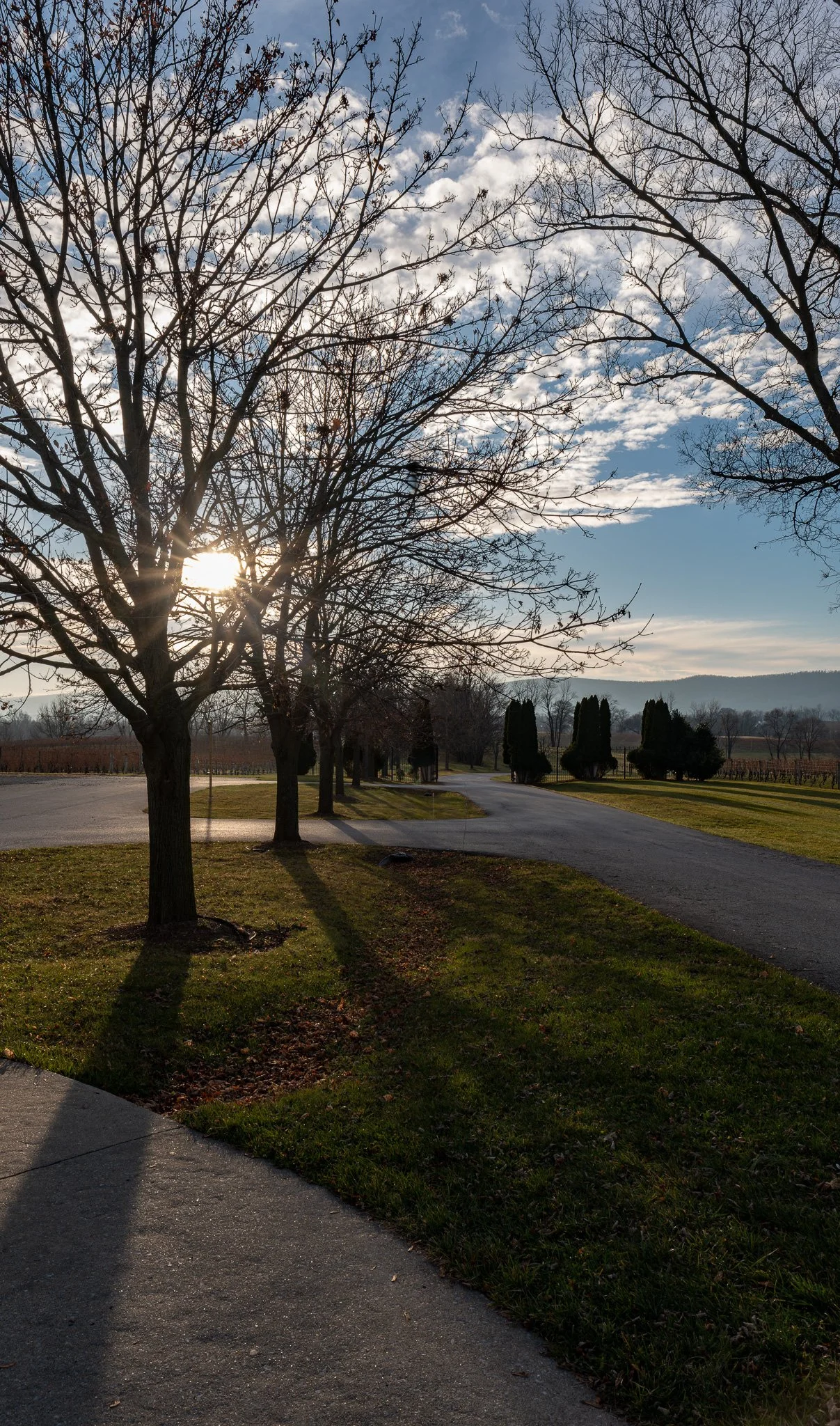 DSCF0872-RAF_DxO_DeepPRIMEXD.jpg