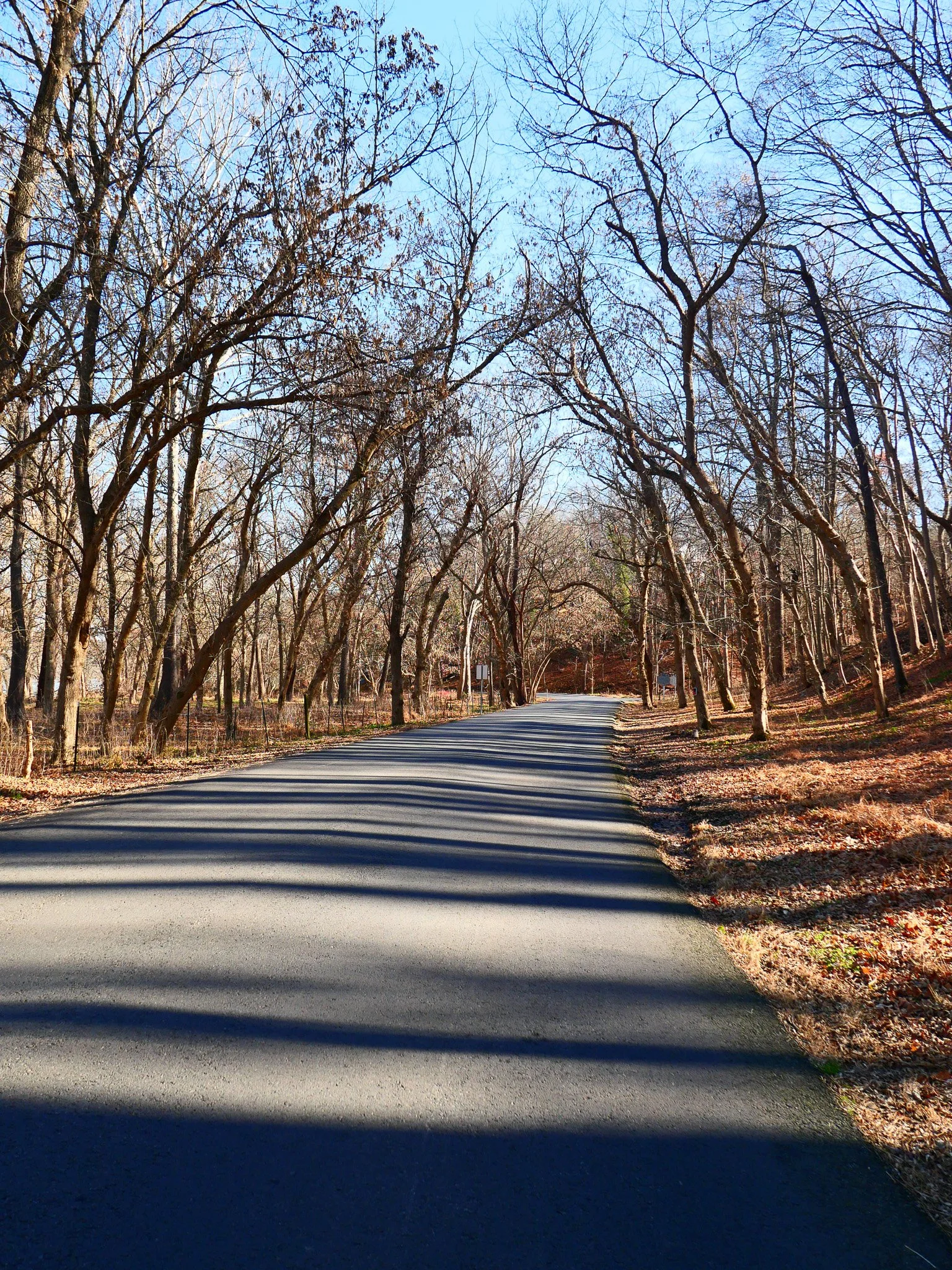 L1041201.jpg