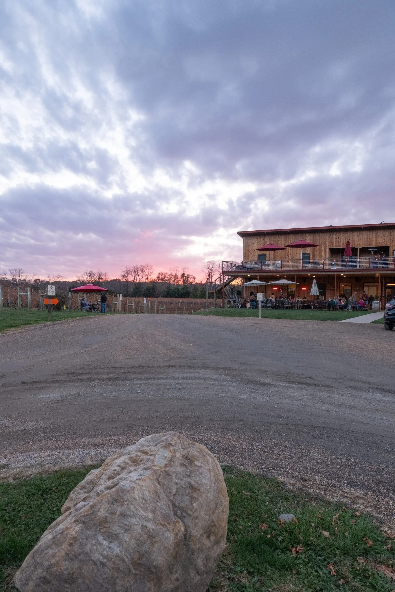 Another view of Muse Vineyard at dusk, Woodstock, VA.