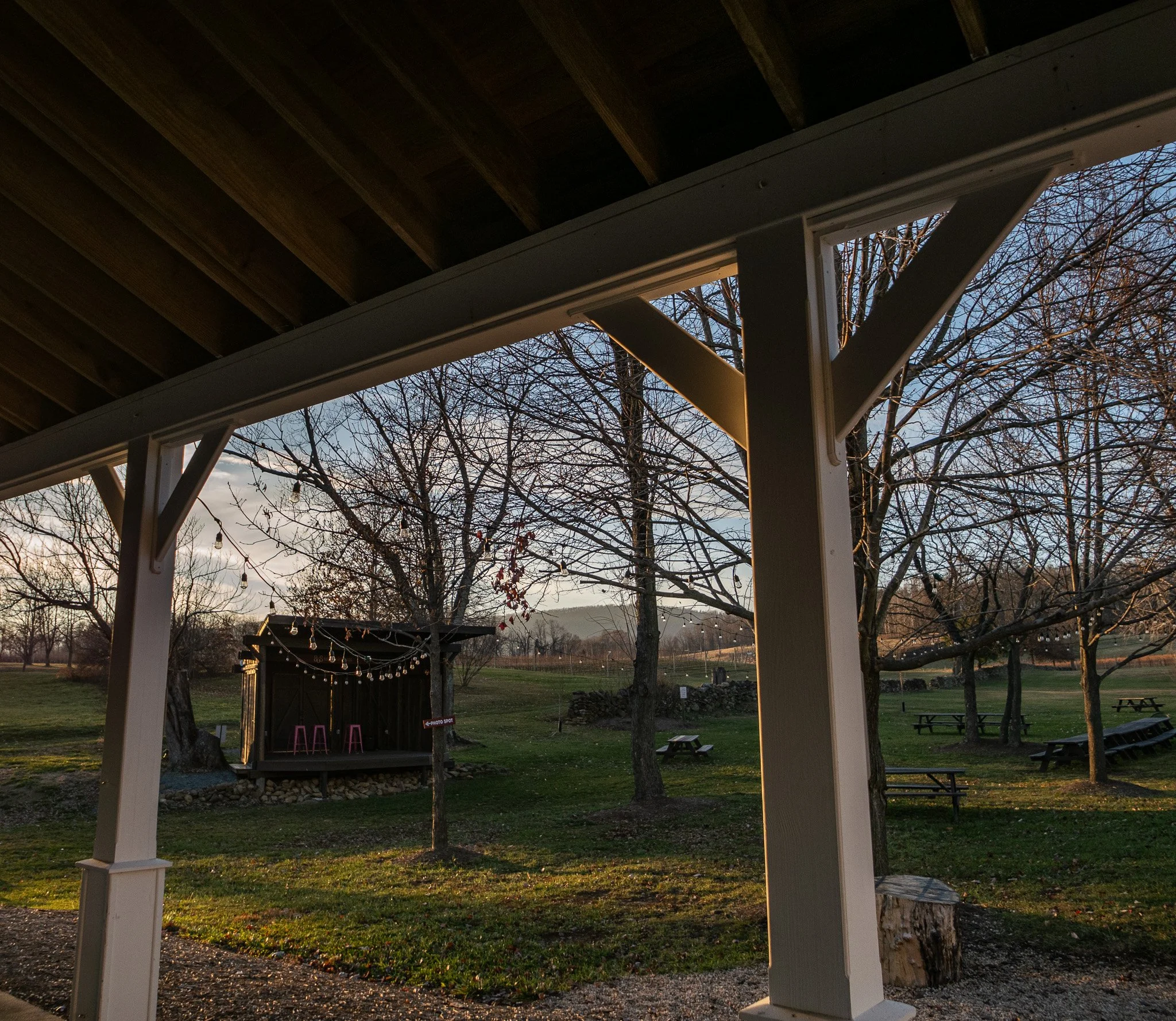 L1041298.jpg
