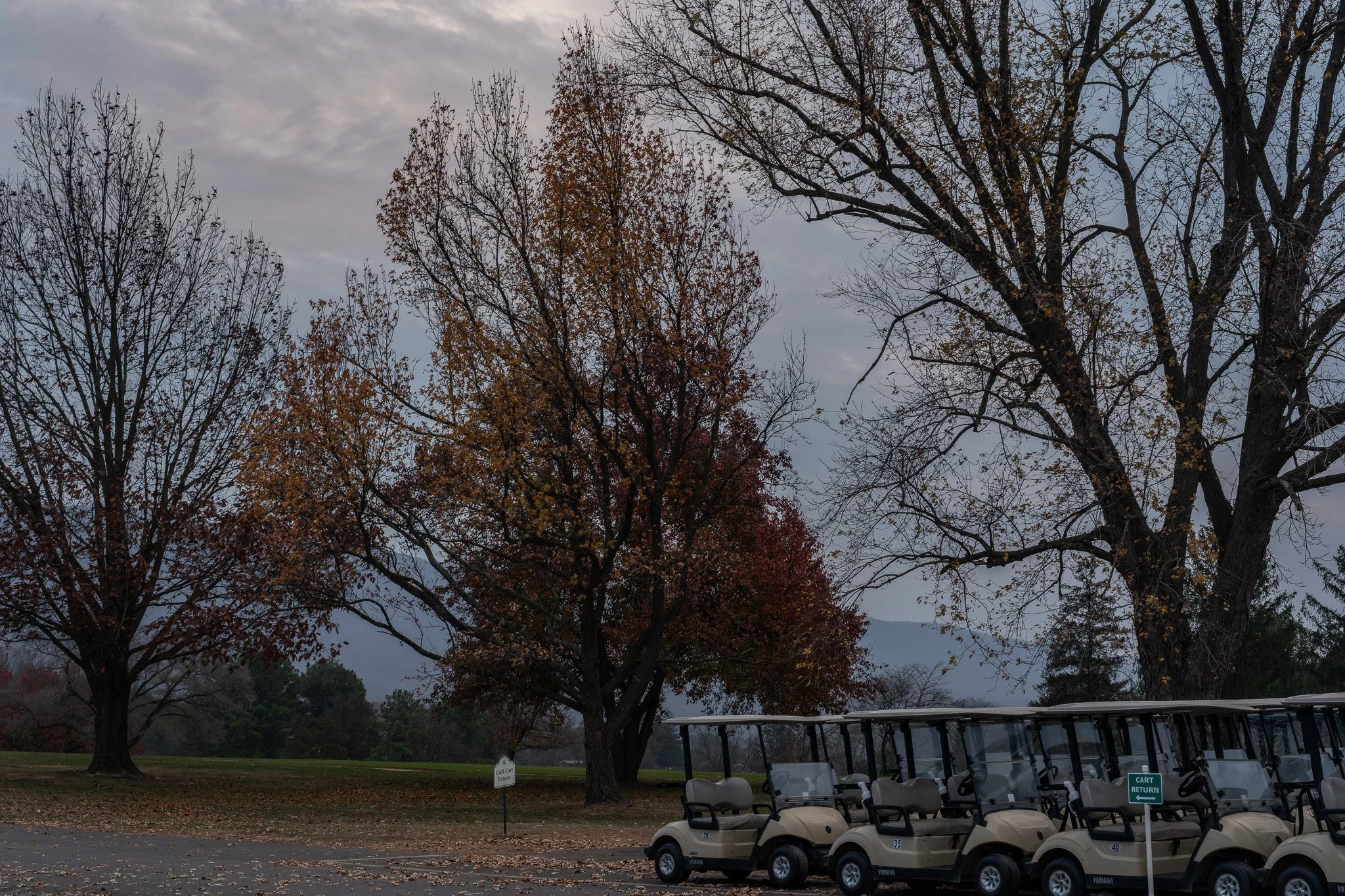 DSCF1183-RAF_DxO_DeepPRIMEXD.jpg