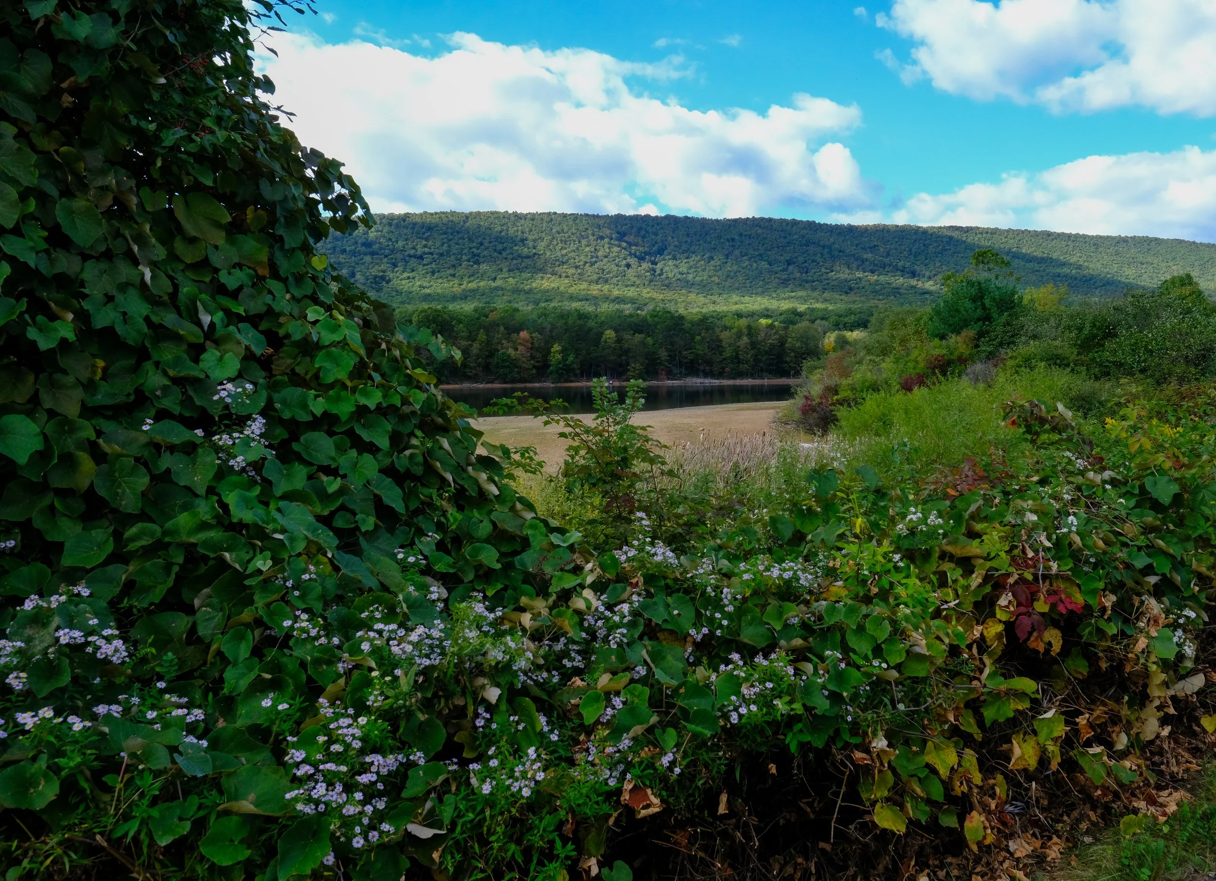 DSCF0196.jpg