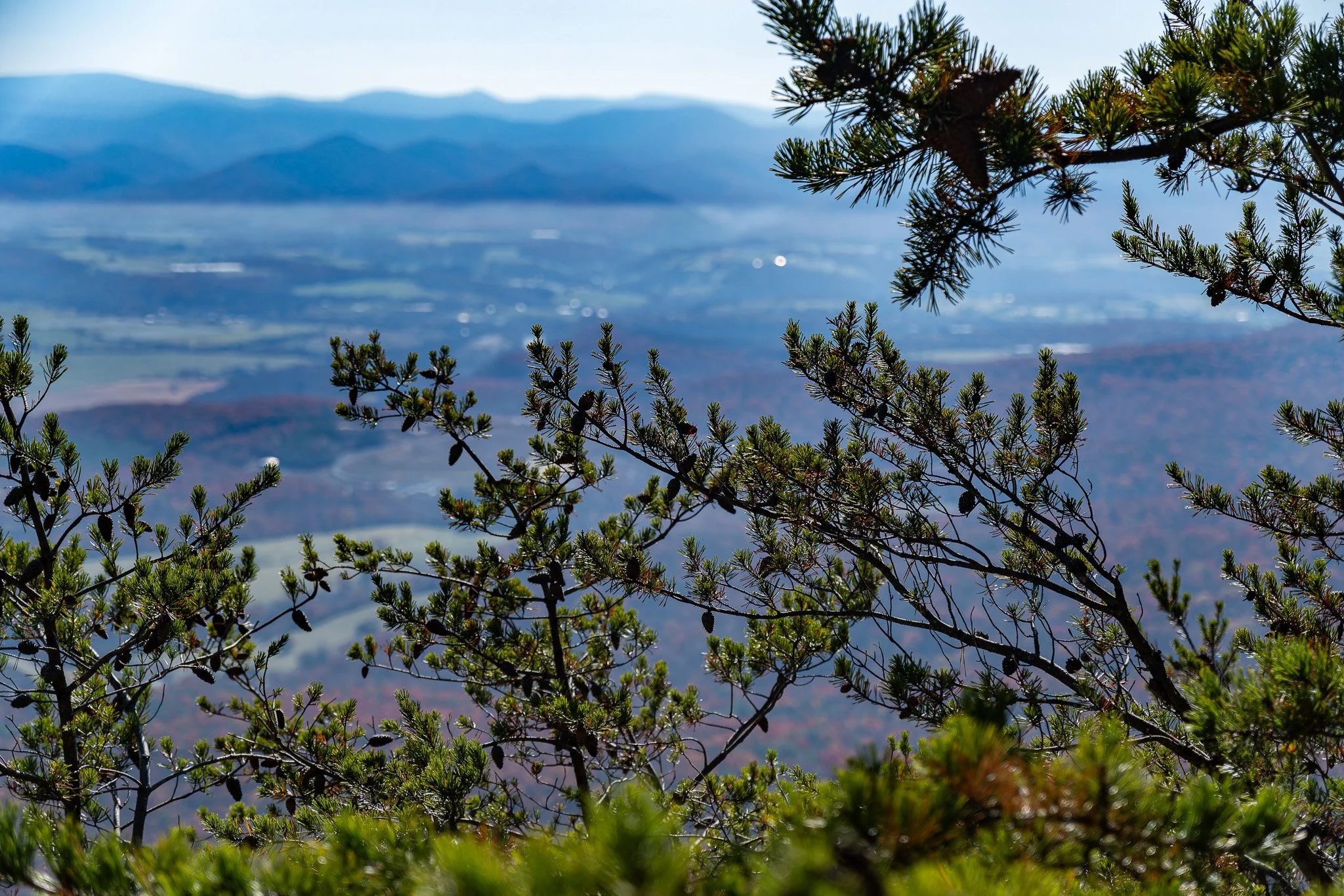 Another great view from the Storybrook trail.