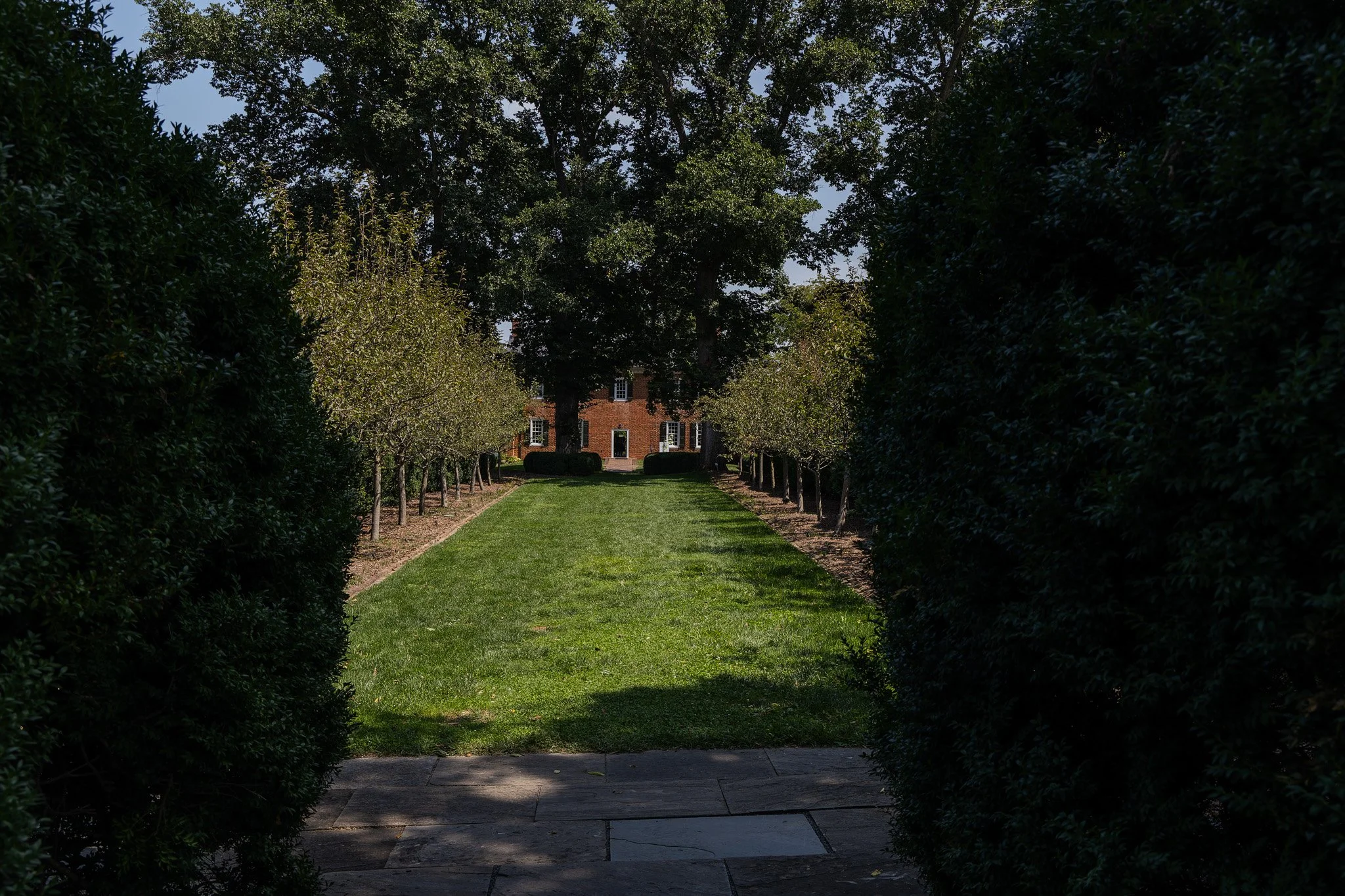Lawn at MSV.