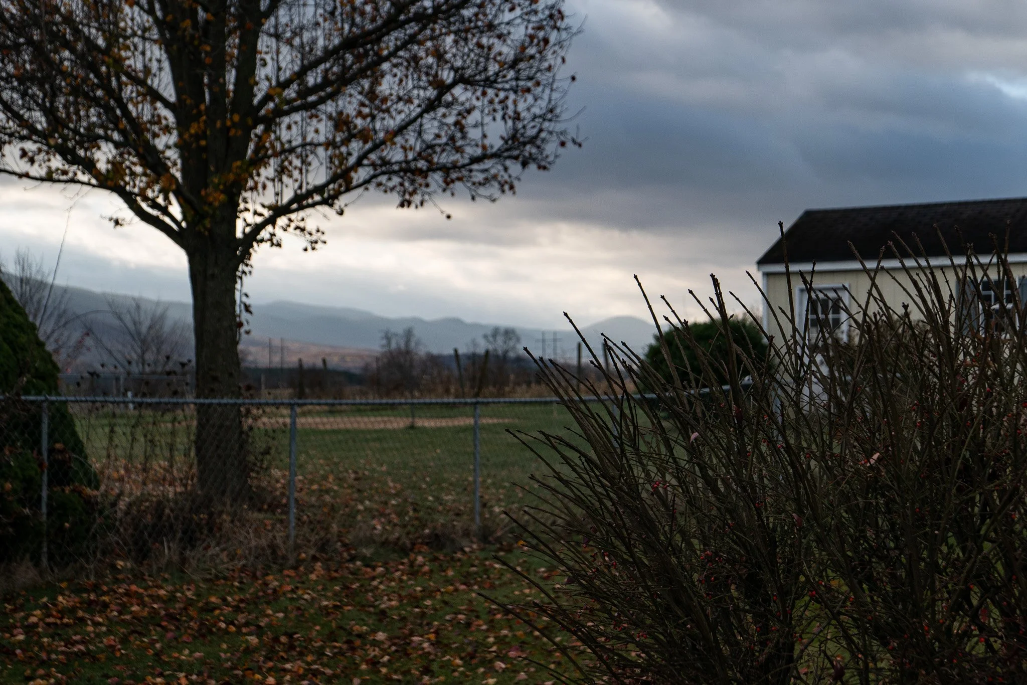 L1041124.jpg