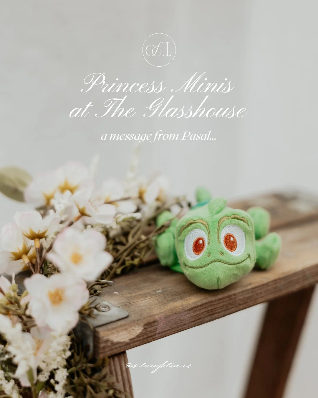 🦎 A message from Pascal&hellip;

He&rsquo;s been keeping a close eye on Rapunzel&rsquo;s royal calendar and wanted to pass along an important reminder:

✨ Princess Mini Sessions are almost here! ✨

On April 17th, Rapunzel will be visiting @theglassh