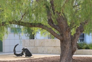 IMG_4614.jpeg