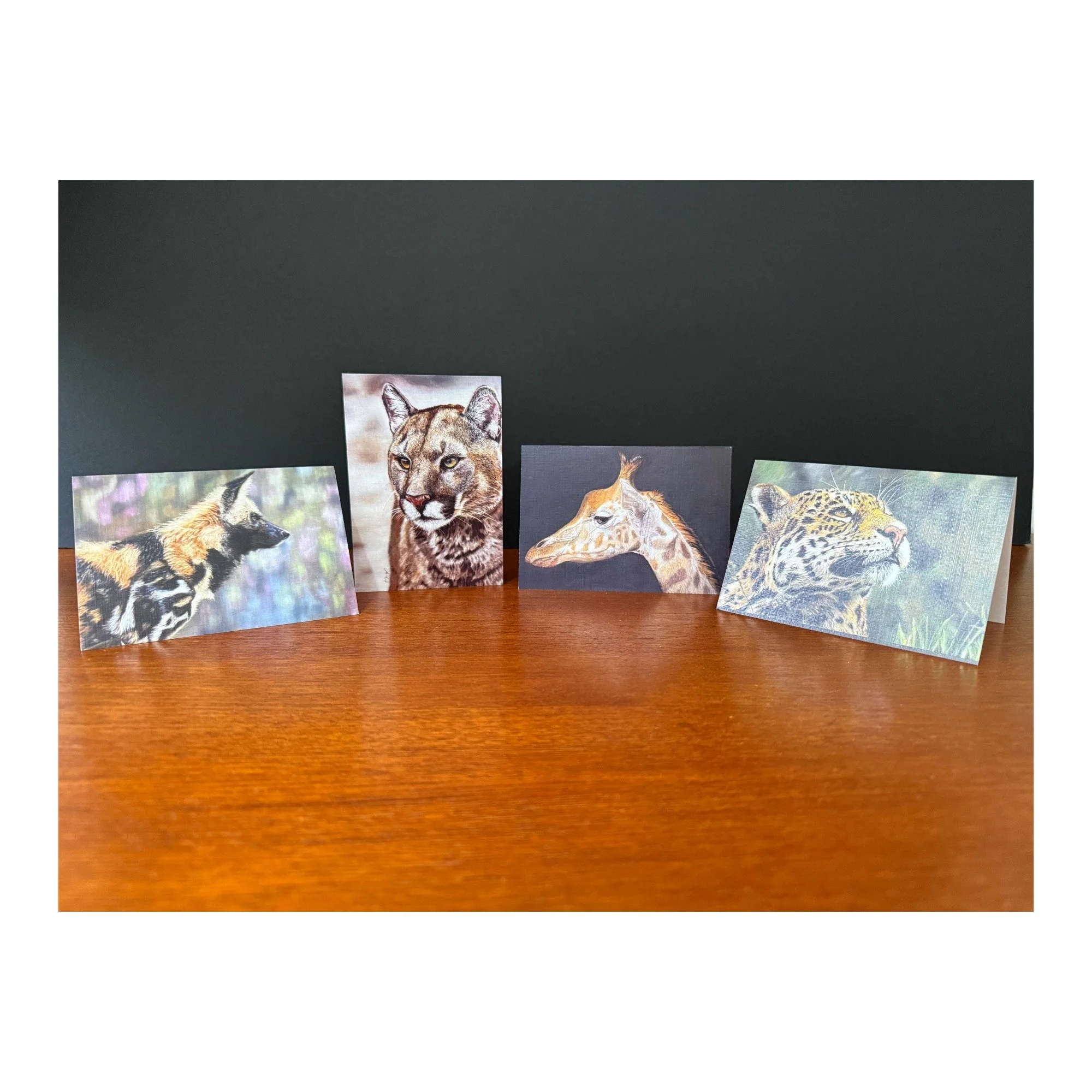 Animal Portraits | Collection No. 2